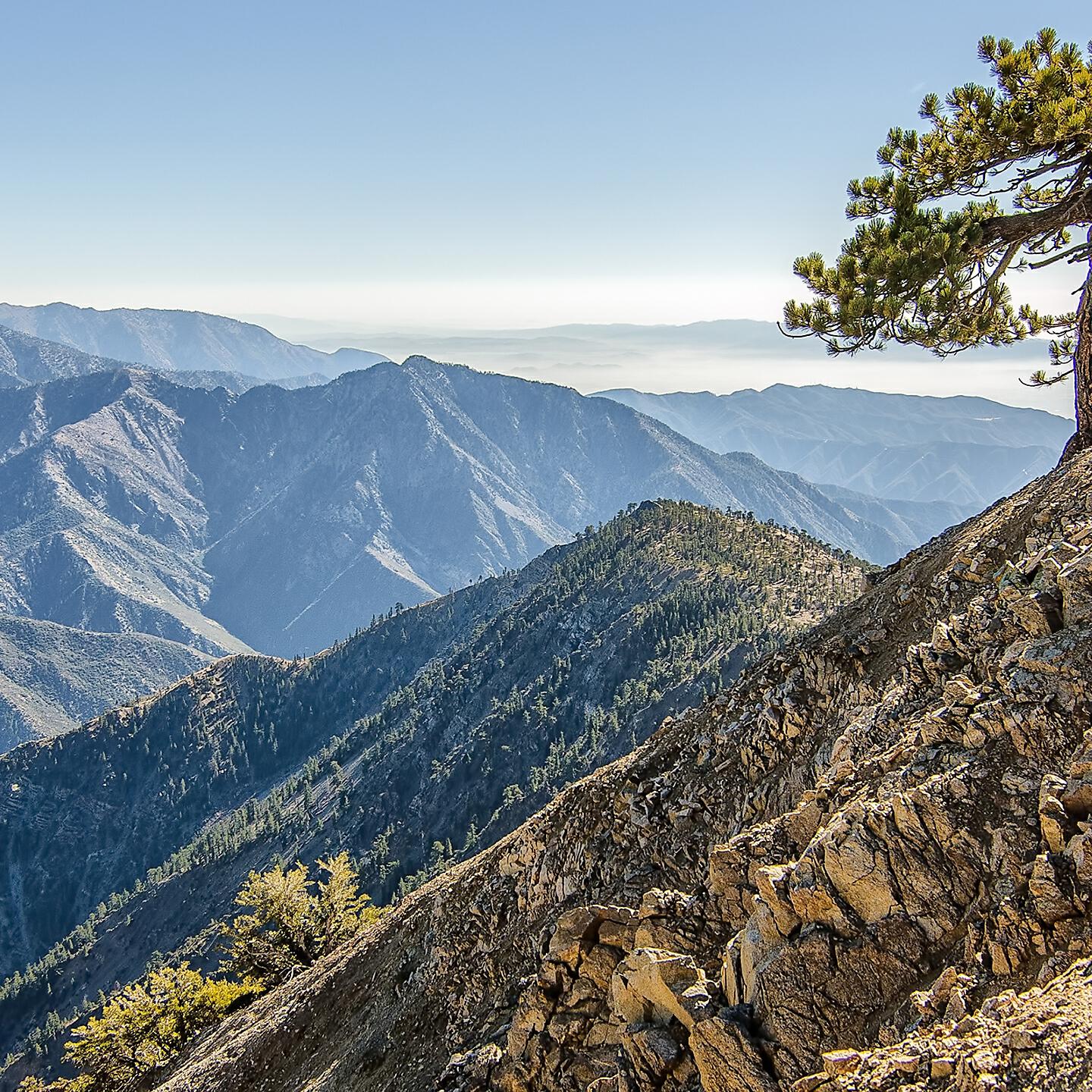 Релиз Deep Focus Meditation