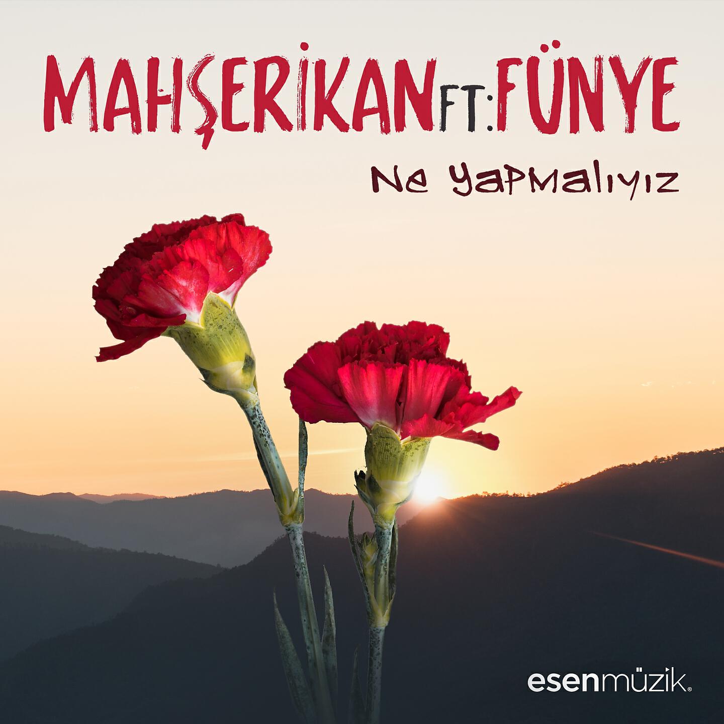 Постер альбома Ne Yapmalıyız