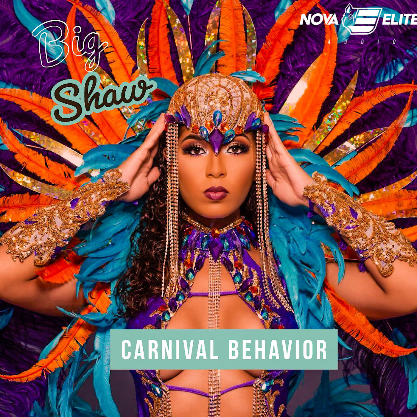 Релиз Carnival Behavior