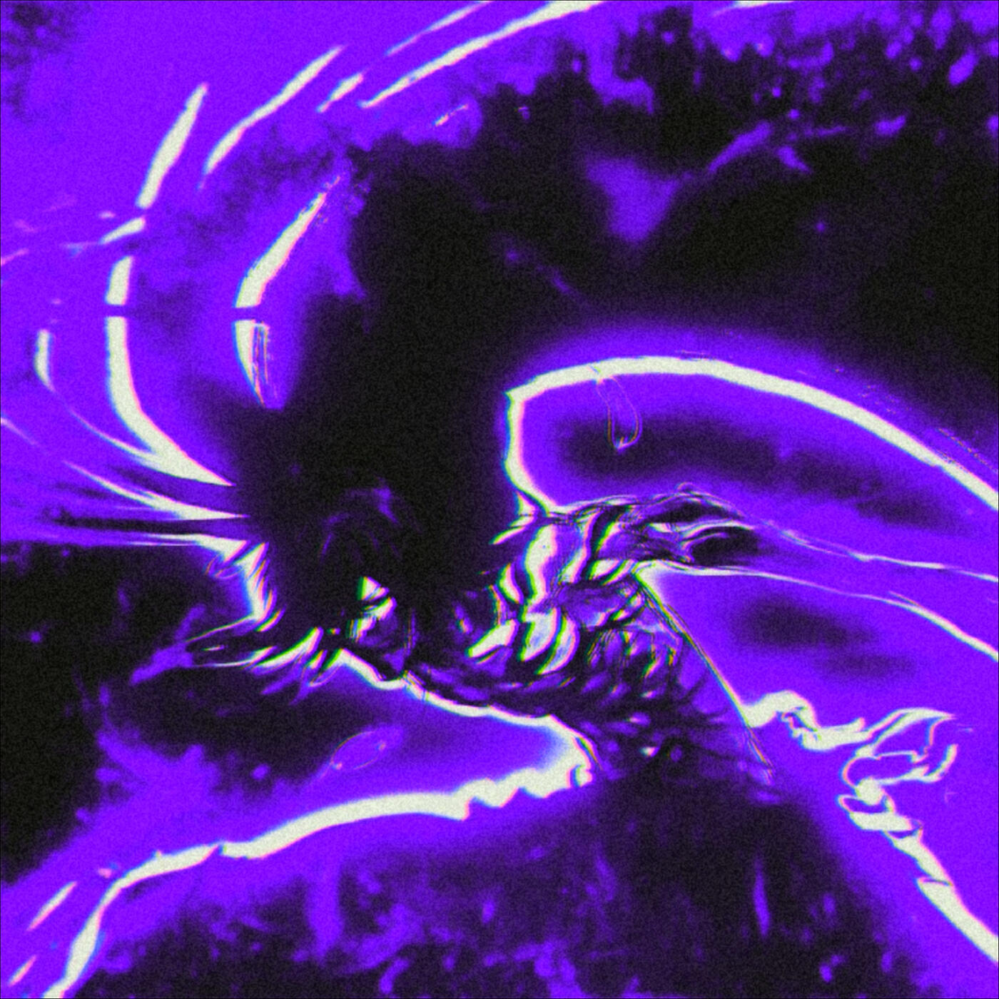 Релиз Predator (Slowed)