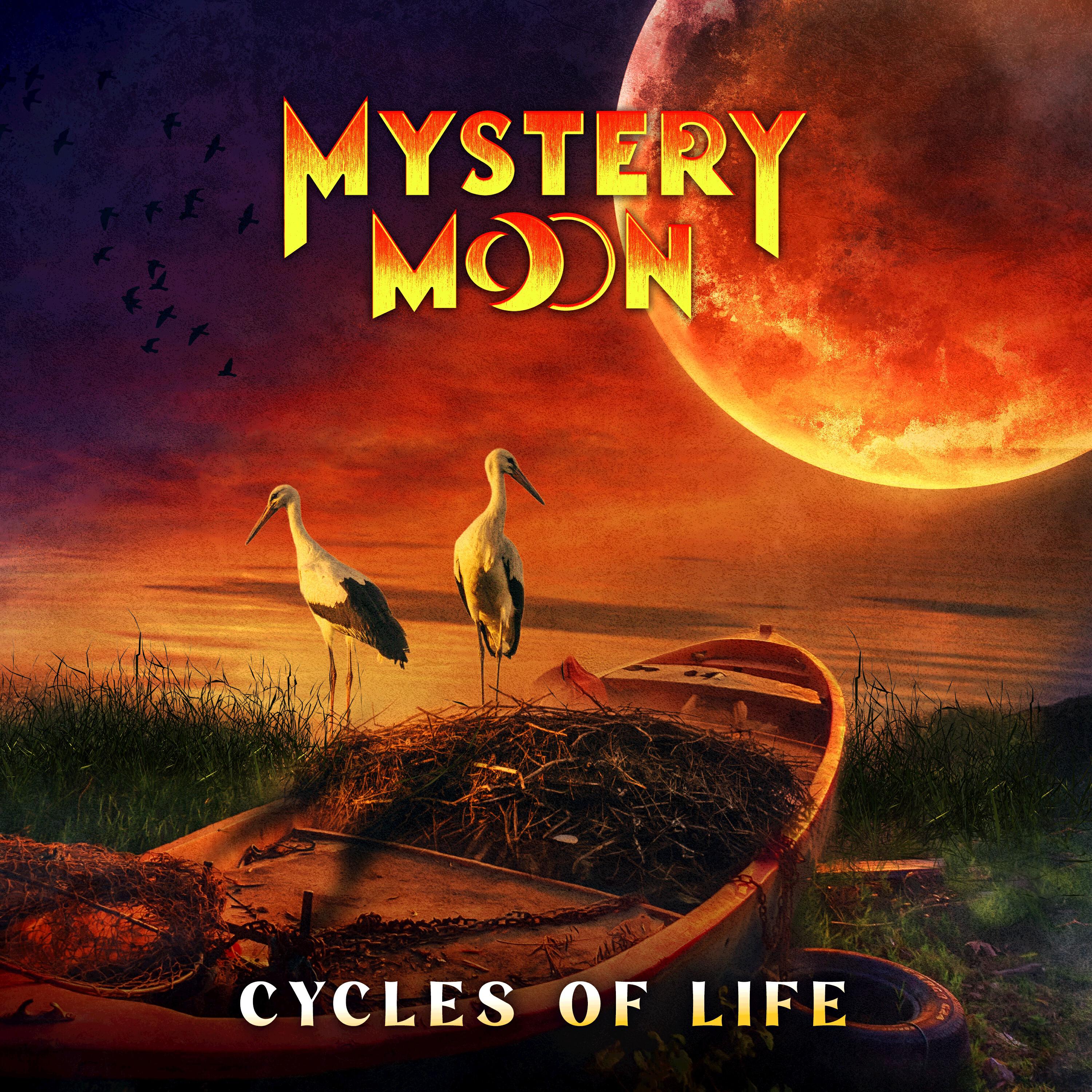 Релиз Cycles Of Life