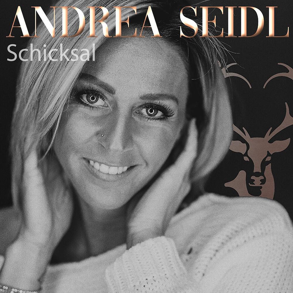 Релиз Schicksal