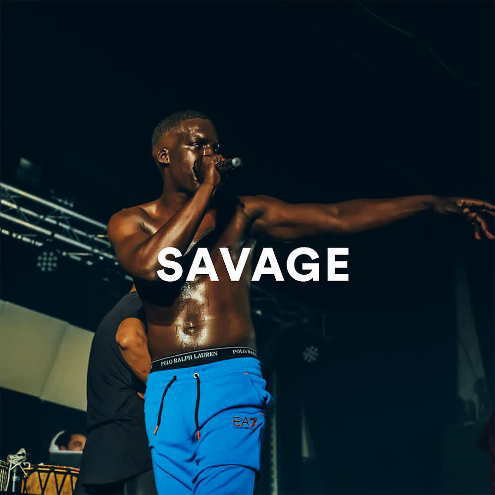 Релиз Savage