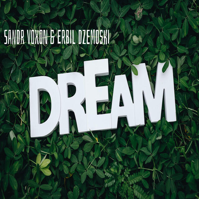 Релиз Dream