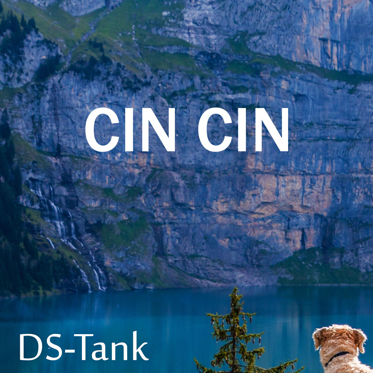 Релиз CinCin