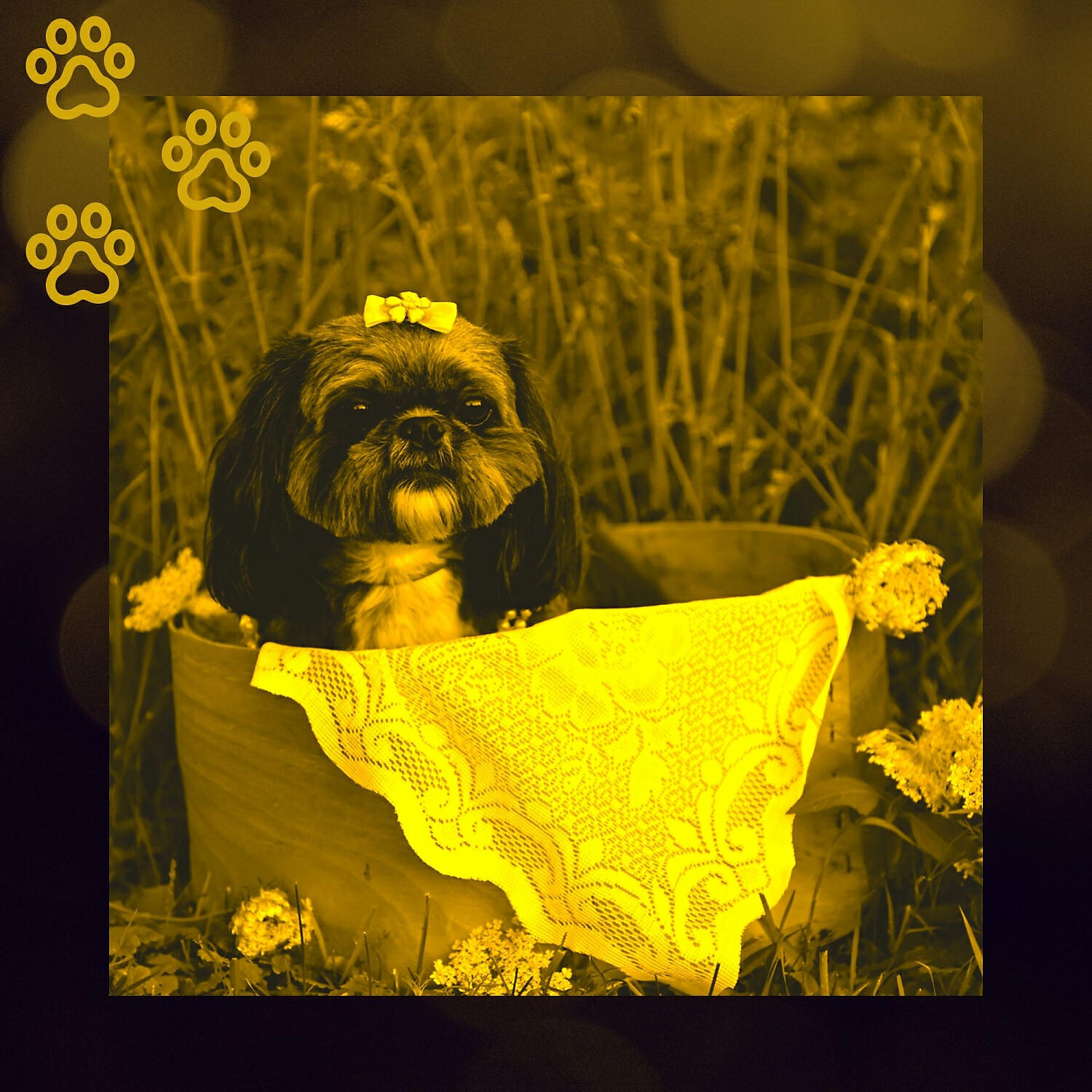 Релиз Deluxe Ambiance for Doggy Naptime