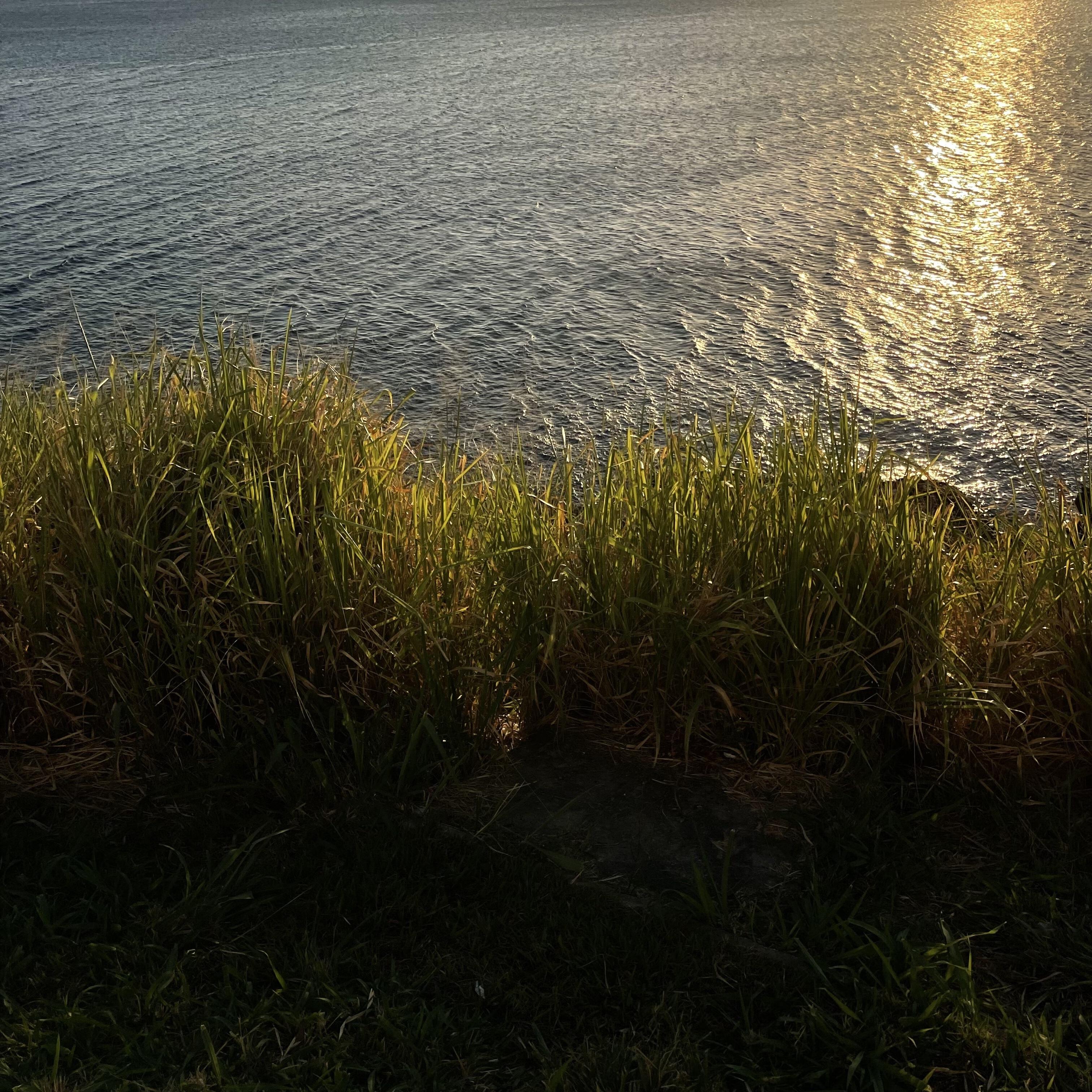 Релиз Preciso Dizer Que Te Amo