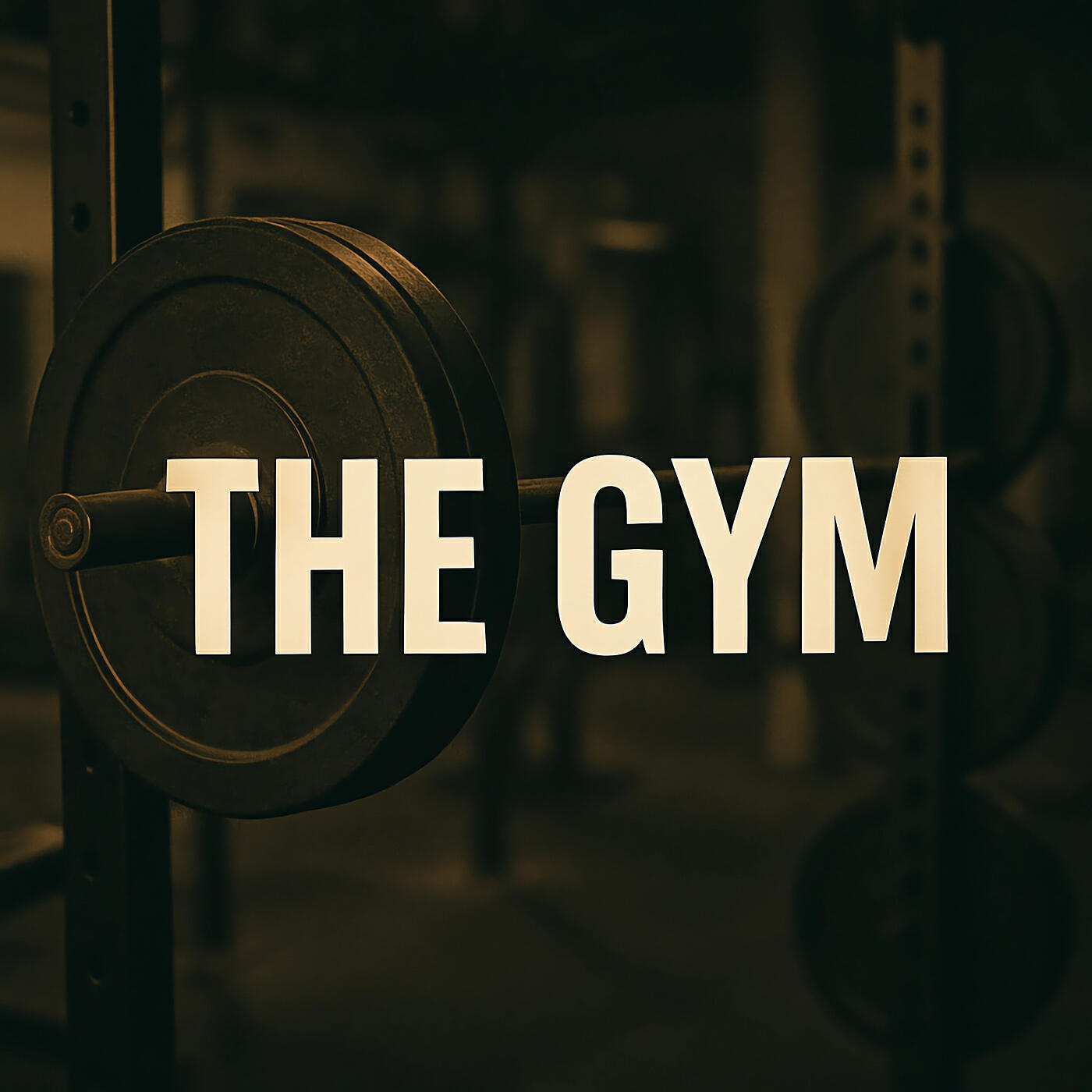 Релиз The Gym
