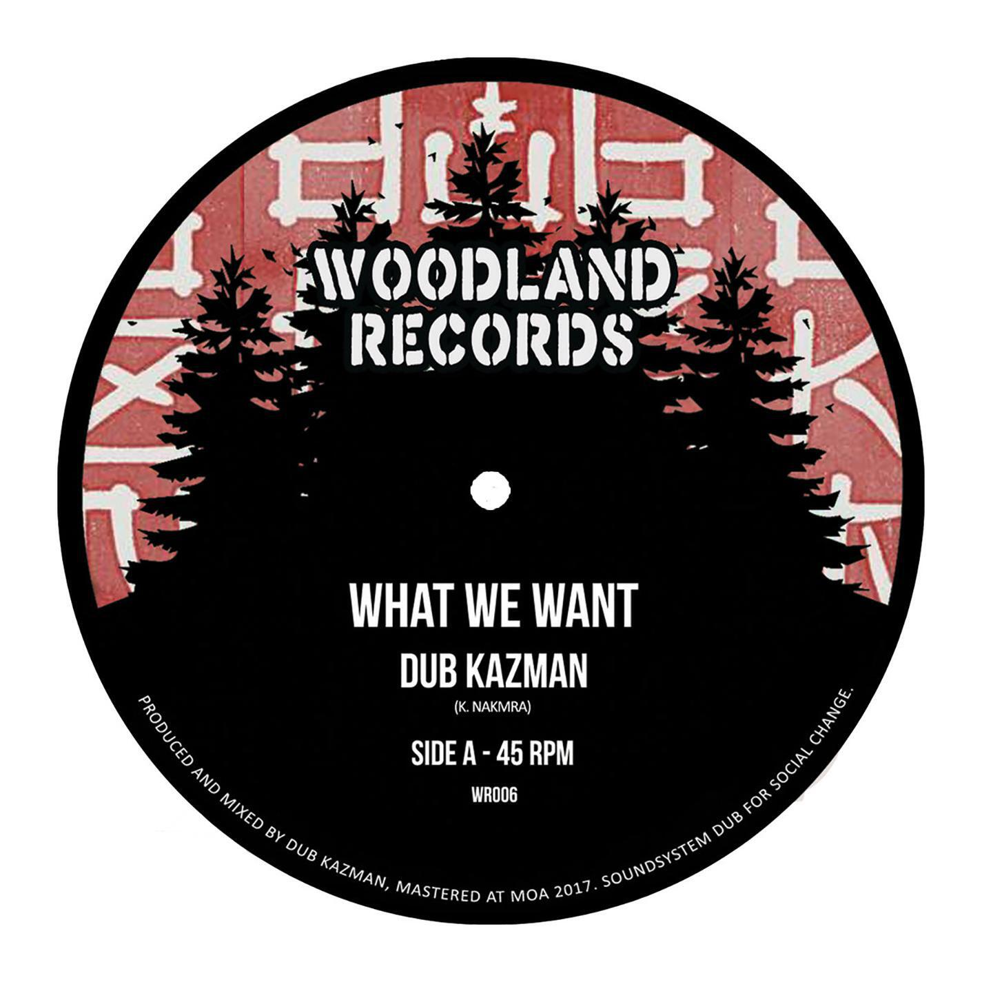 Релиз What We Want