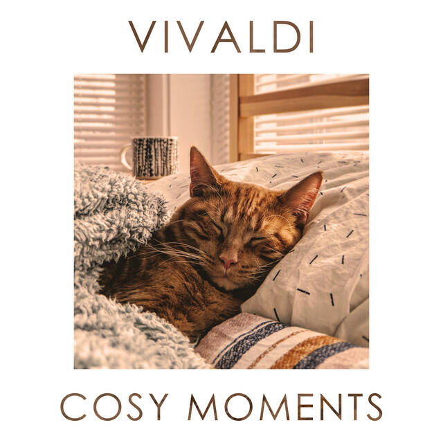 Релиз Vivaldi Cosy Vibes