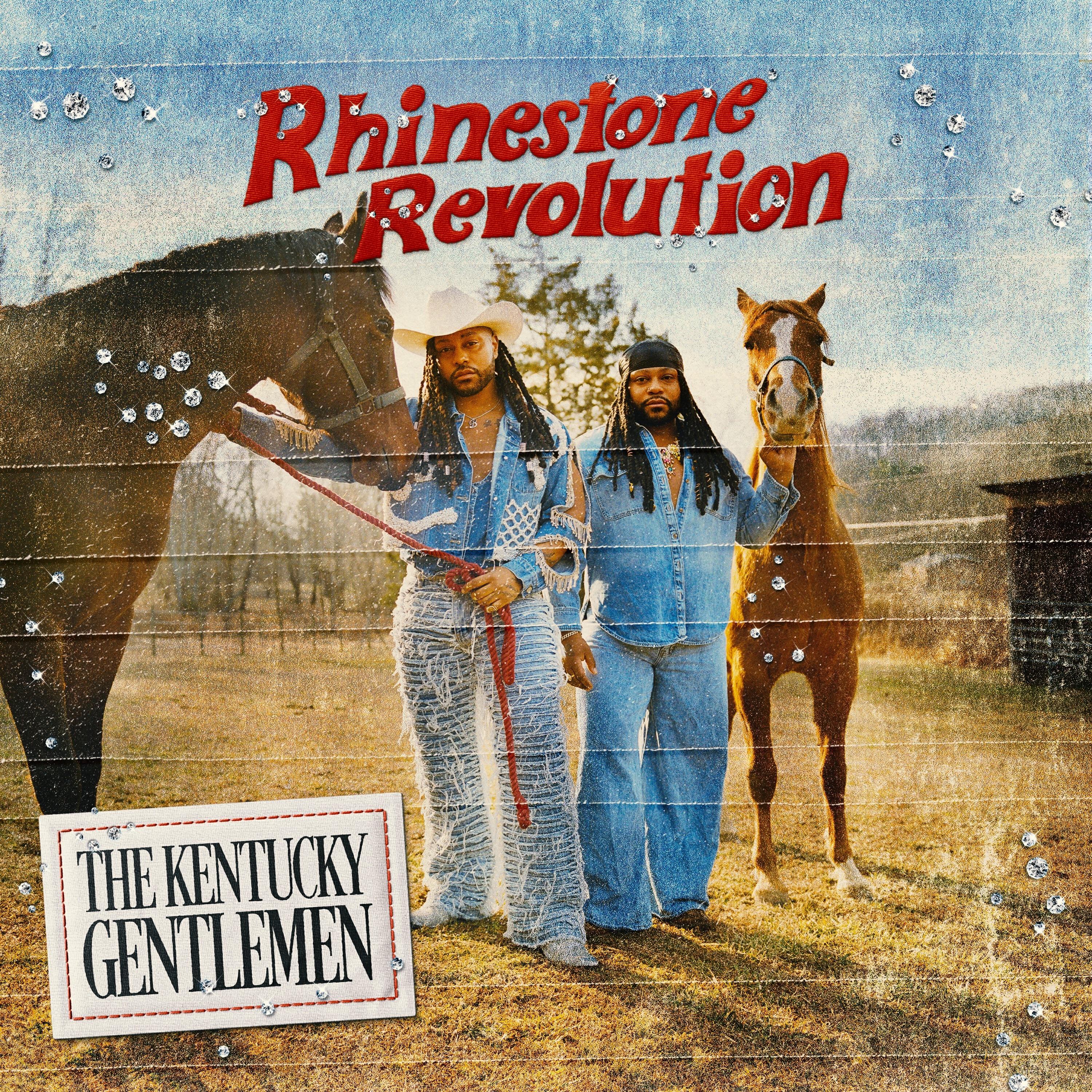 Постер альбома Rhinestone Revolution