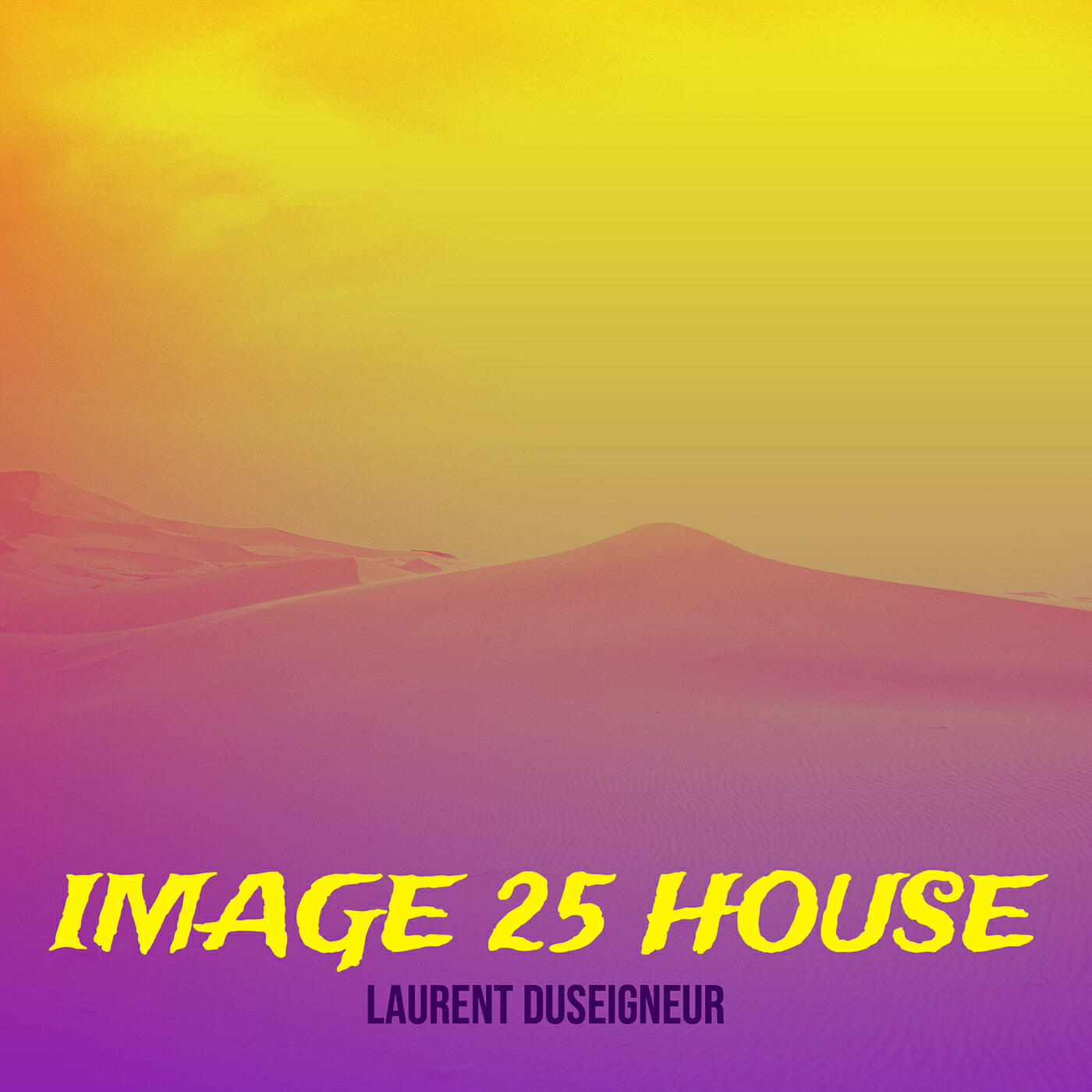 LAURENT DUSEIGNEUR