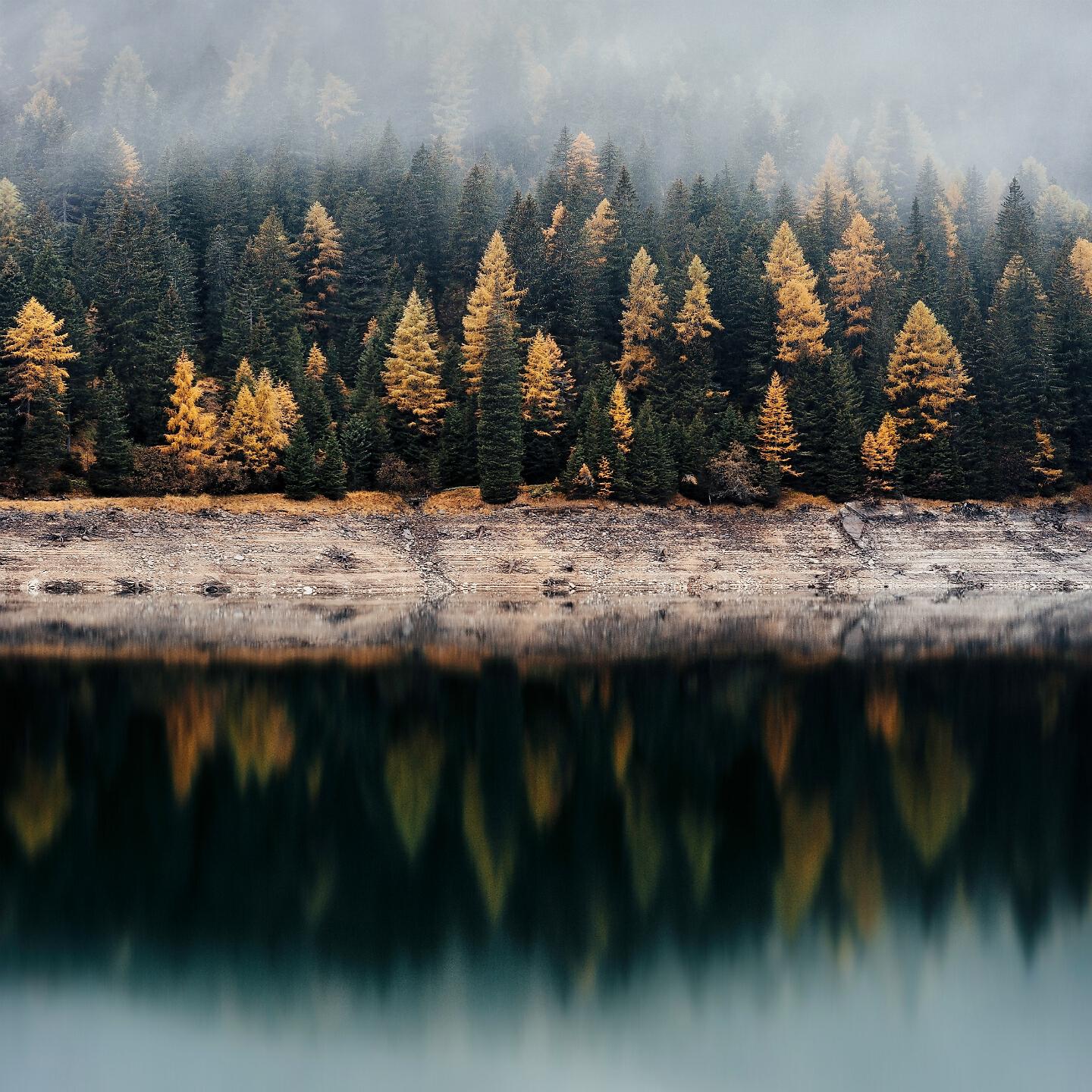 Релиз Fog over the Lake