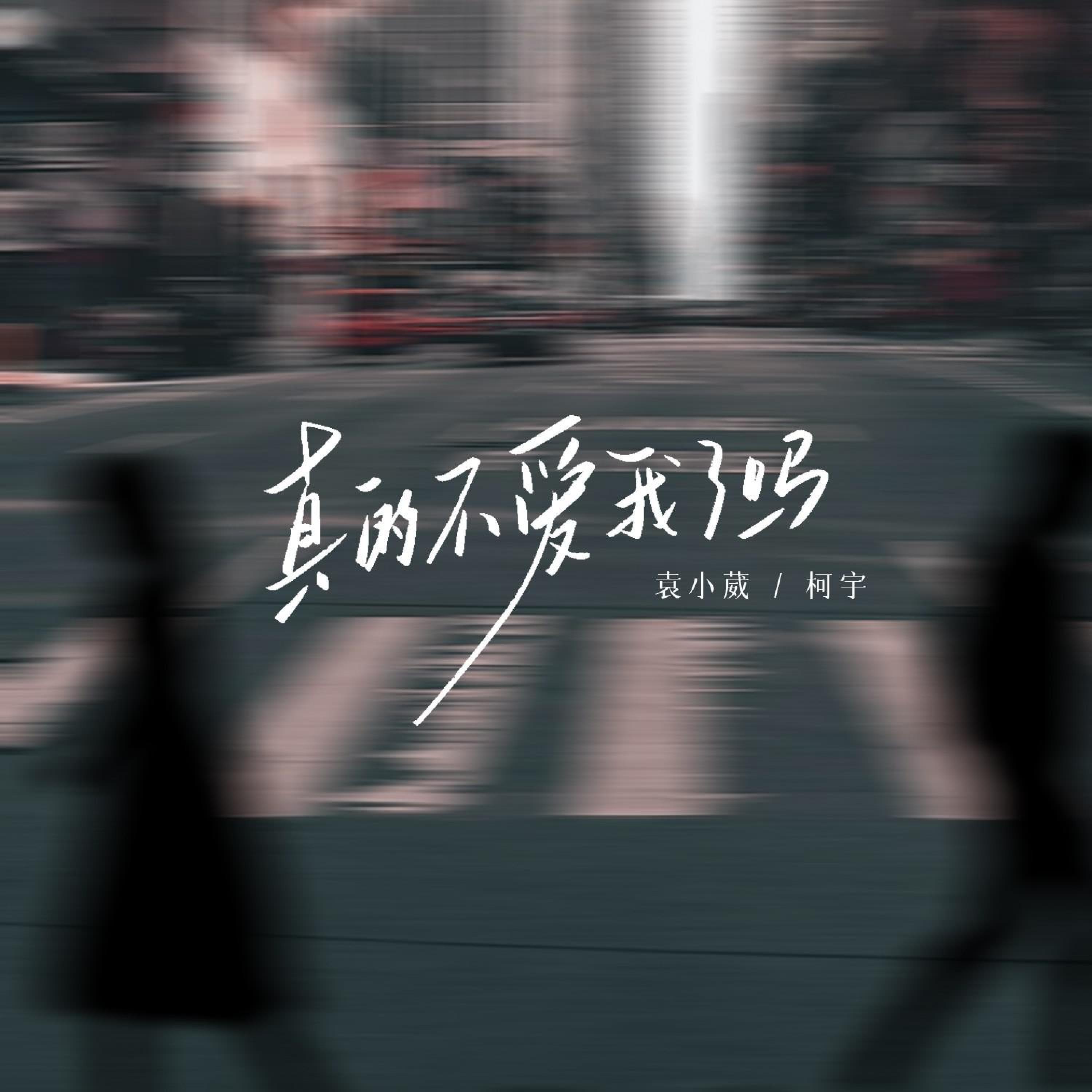 Трек 真的不爱我了吗 (伴奏版)