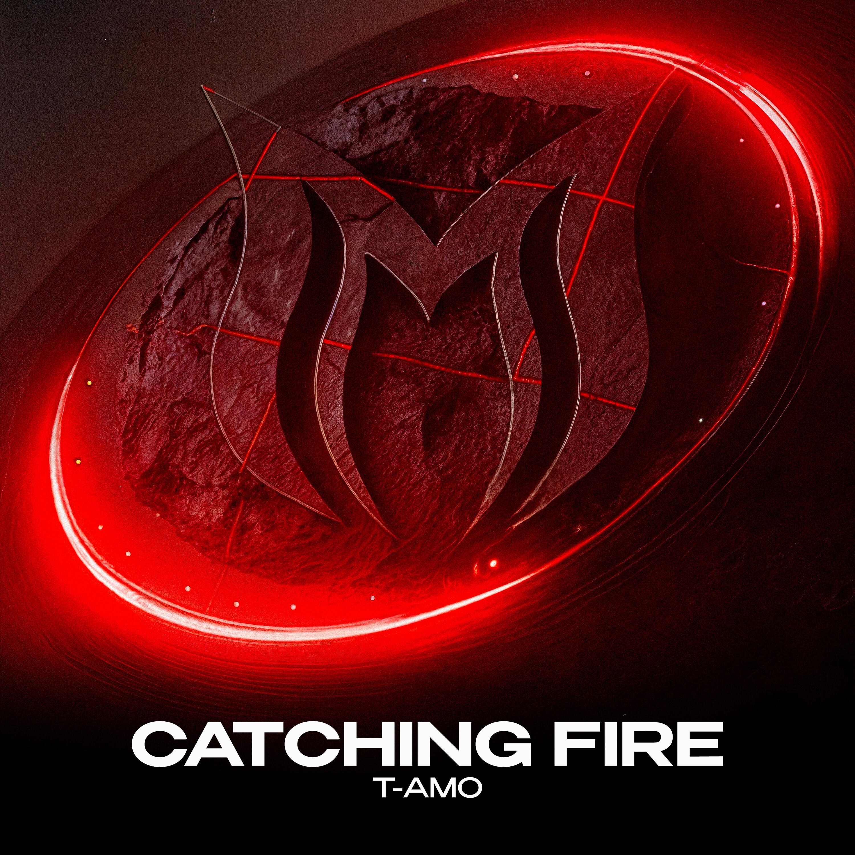 Релиз Catching Fire