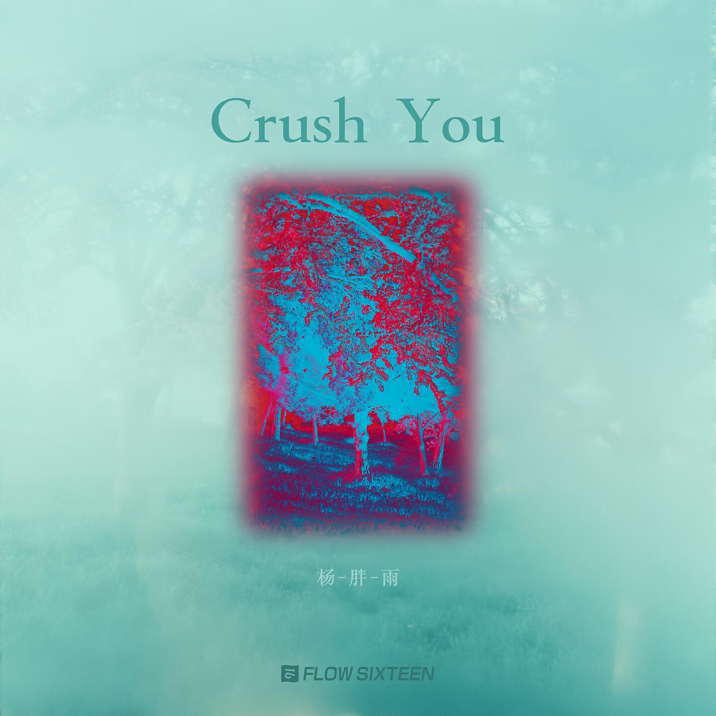 Релиз Crush You