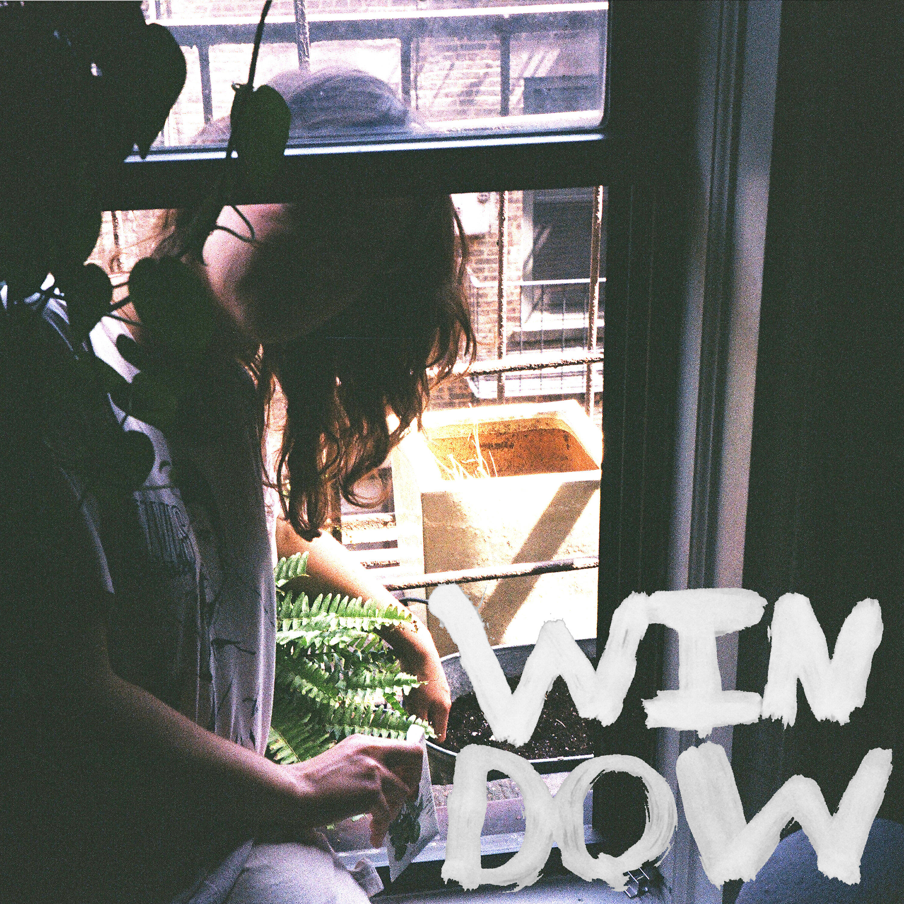 Релиз Window