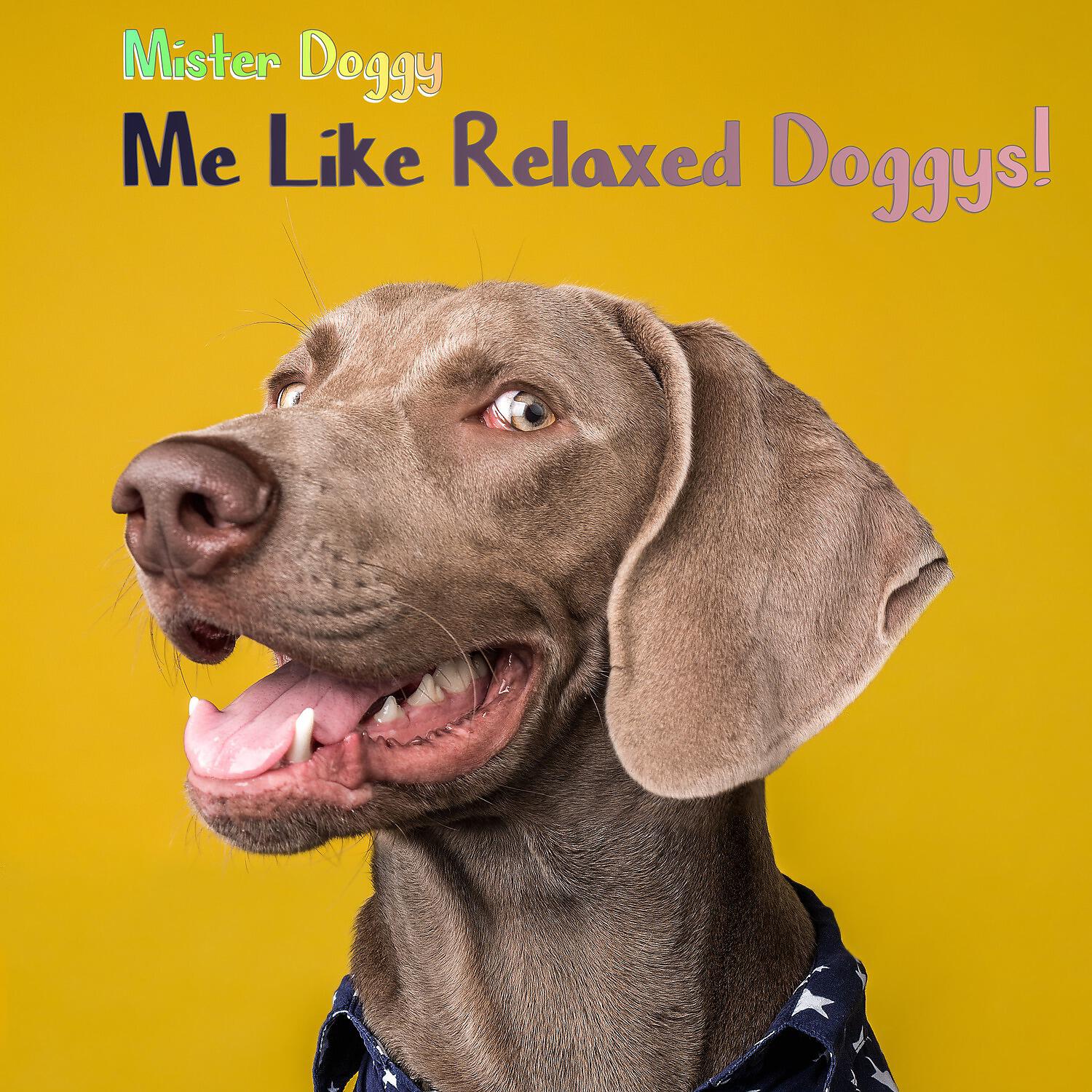 Релиз Me Like Relaxed Doggys!
