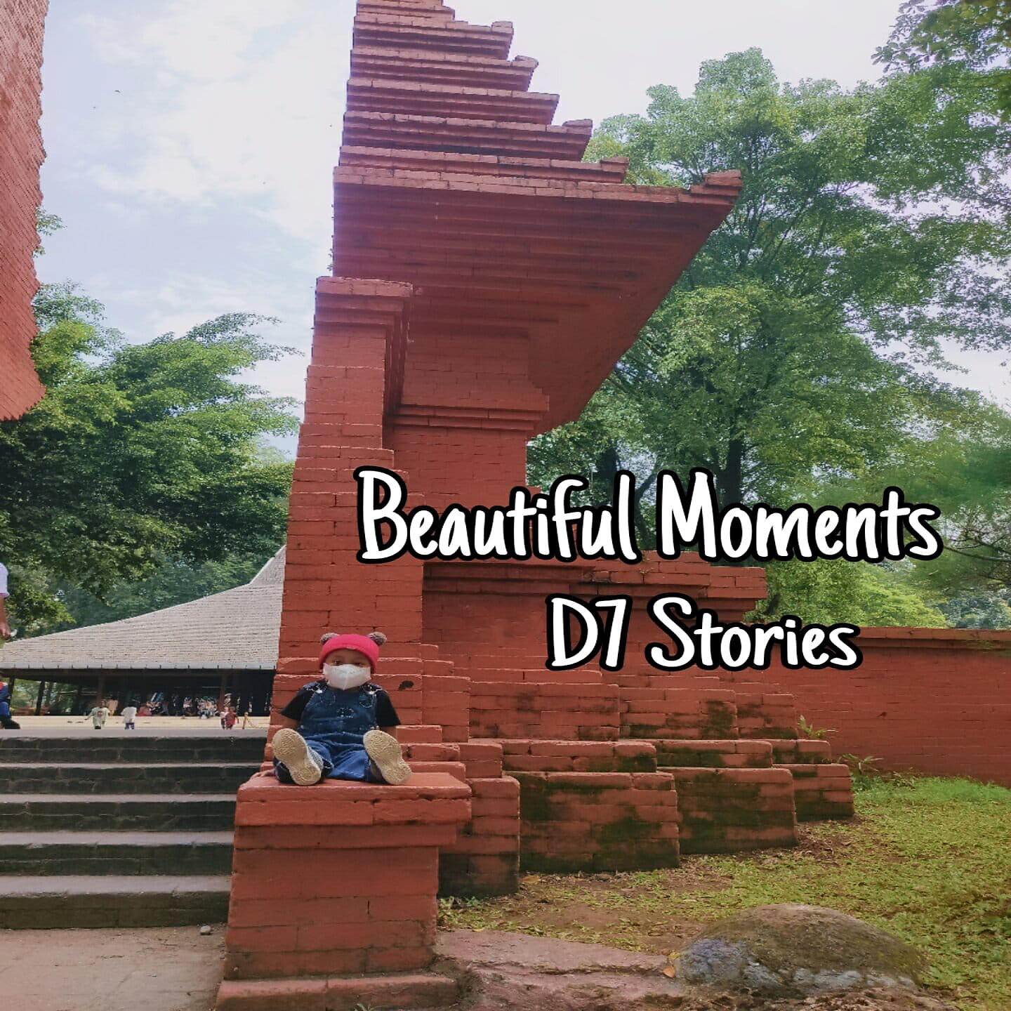 D7 STORIES