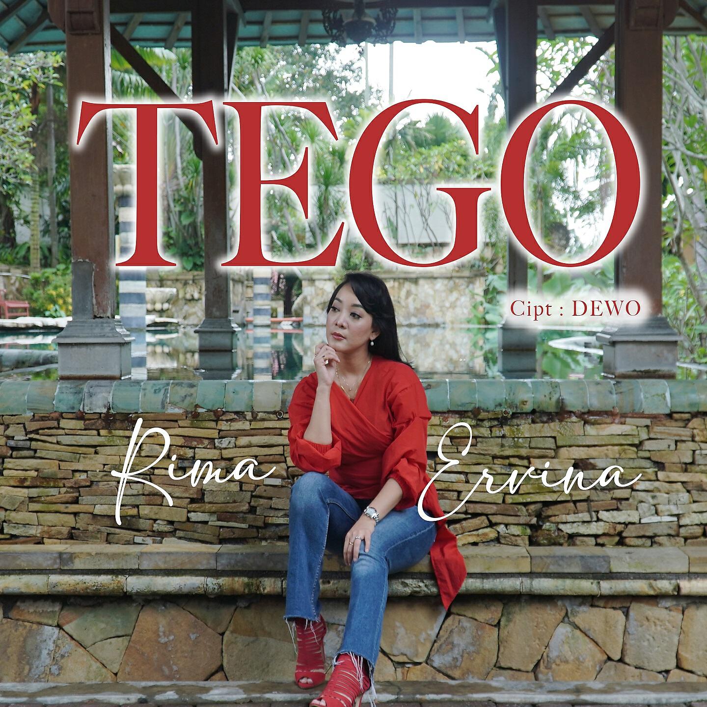 Релиз Tego
