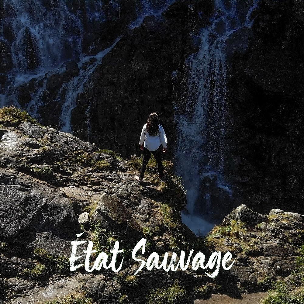 Релиз État sauvage