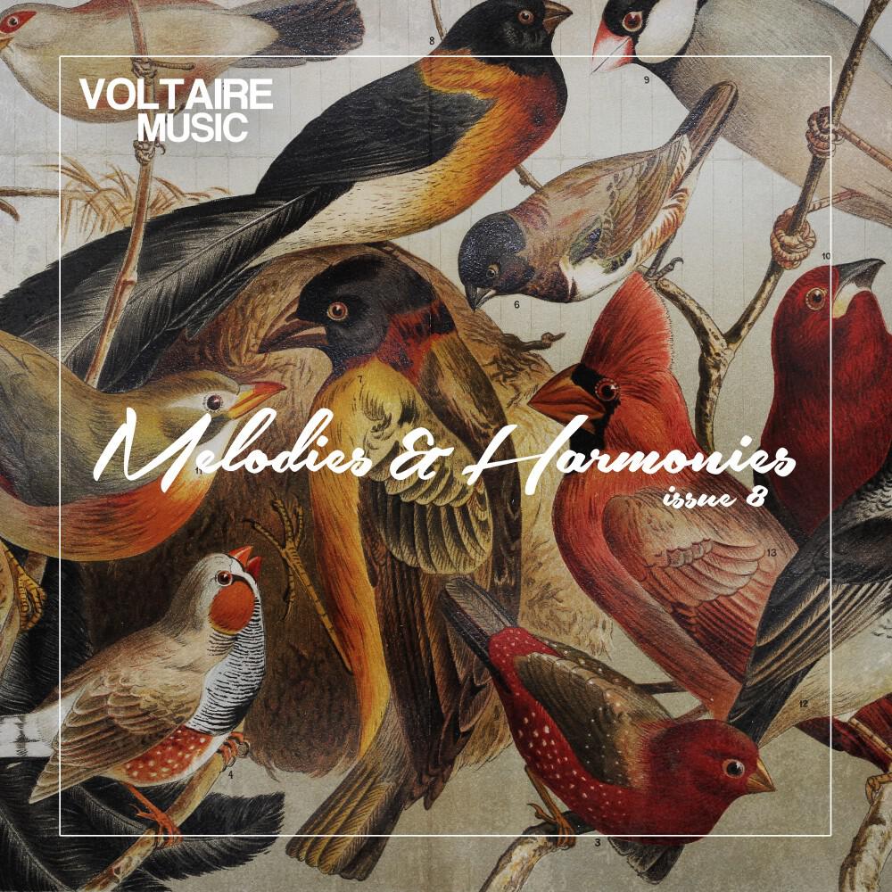 Релиз Melodies & Harmonies Issue 8