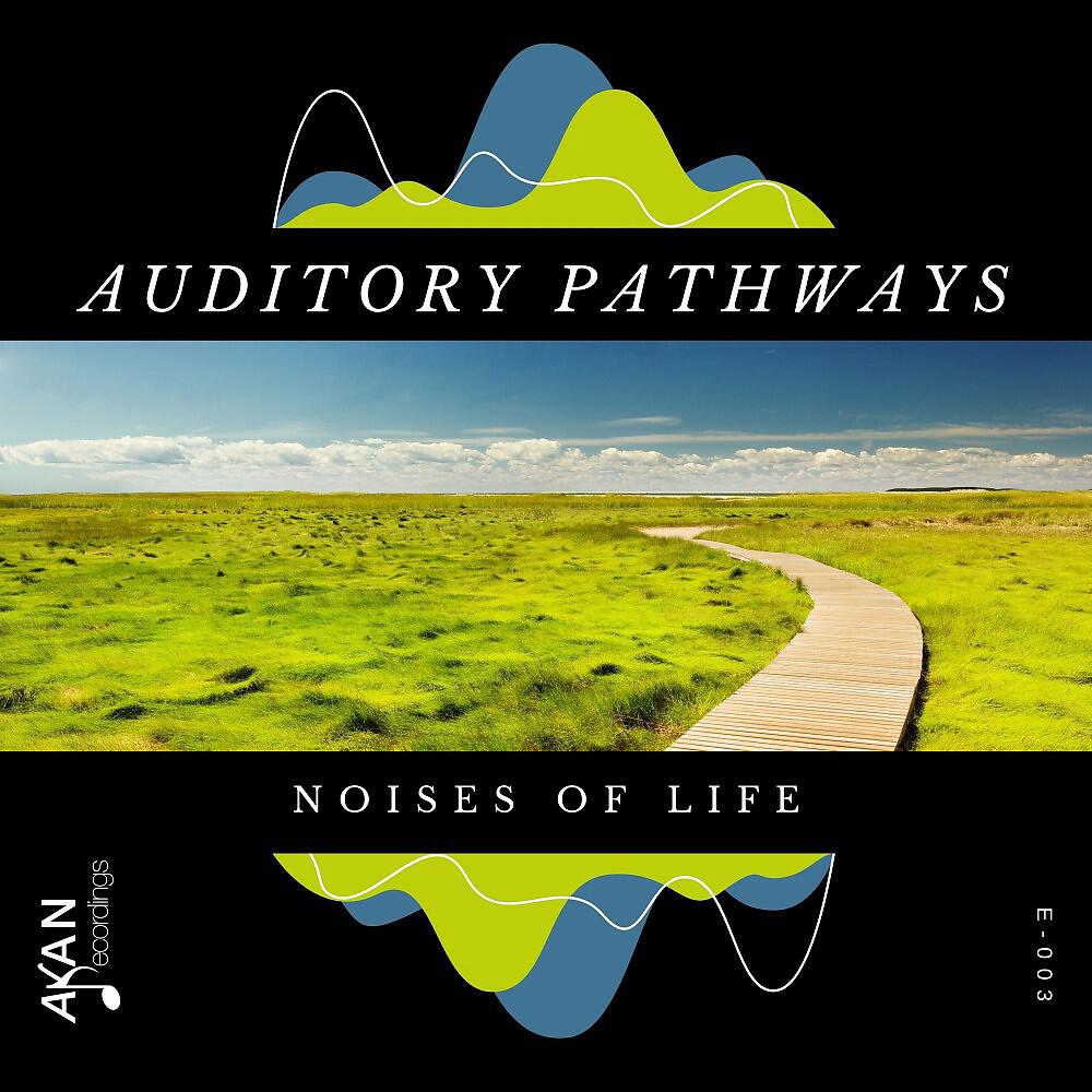 Релиз Noises of Life