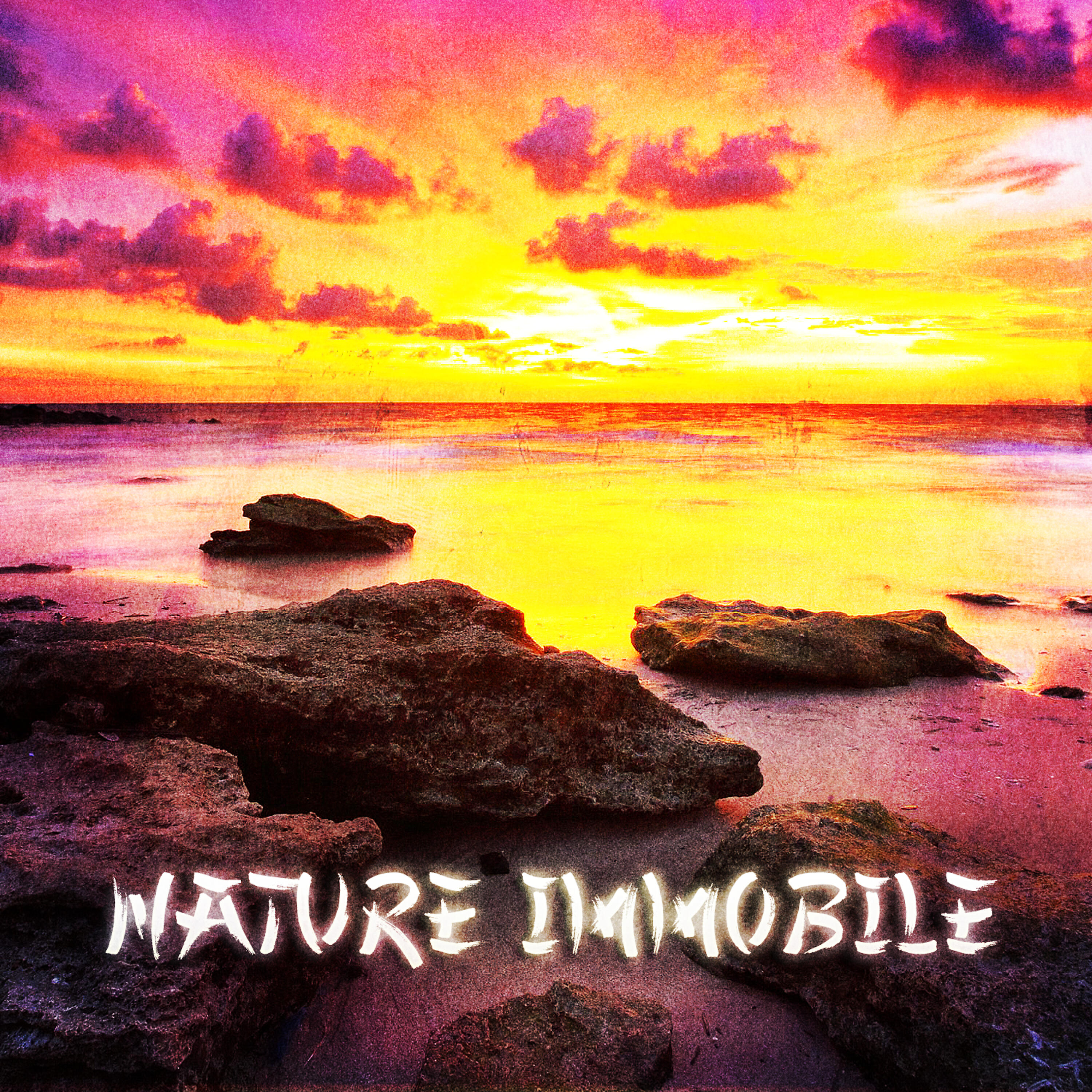 Релиз Zen & Relaxation: Nature immobile