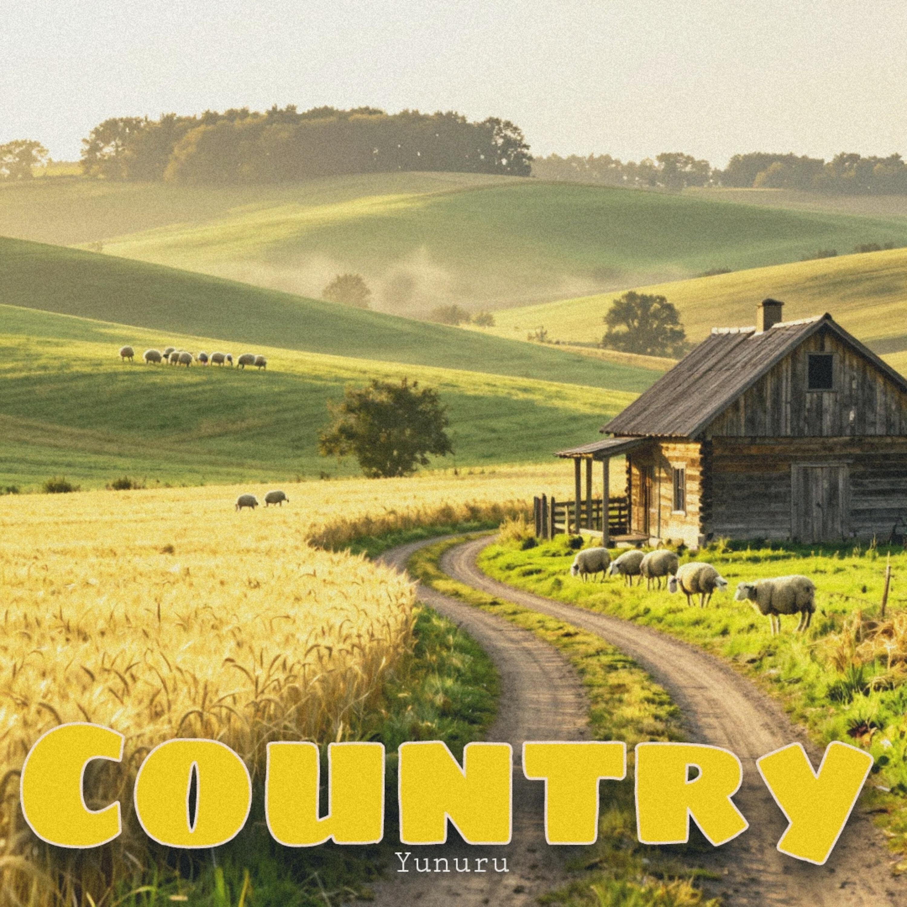 Релиз Country