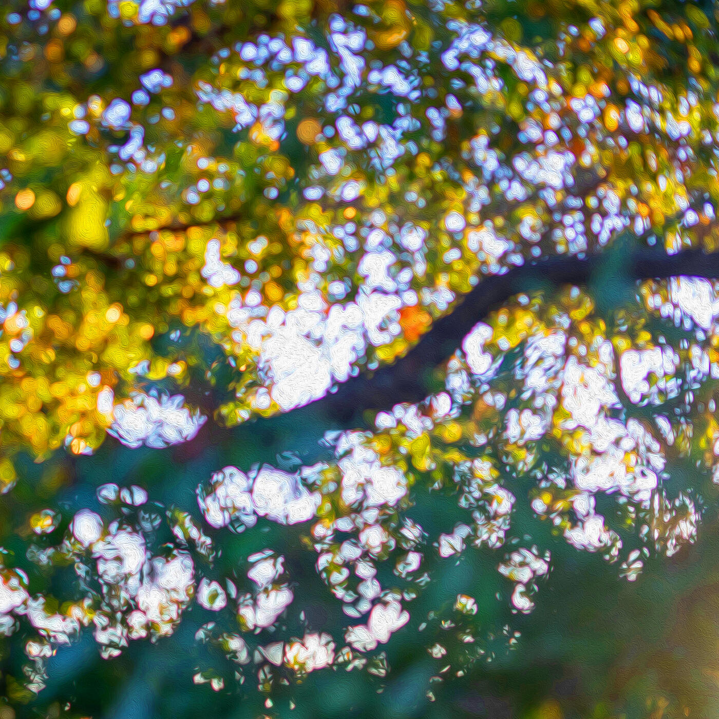 Релиз Overdrive