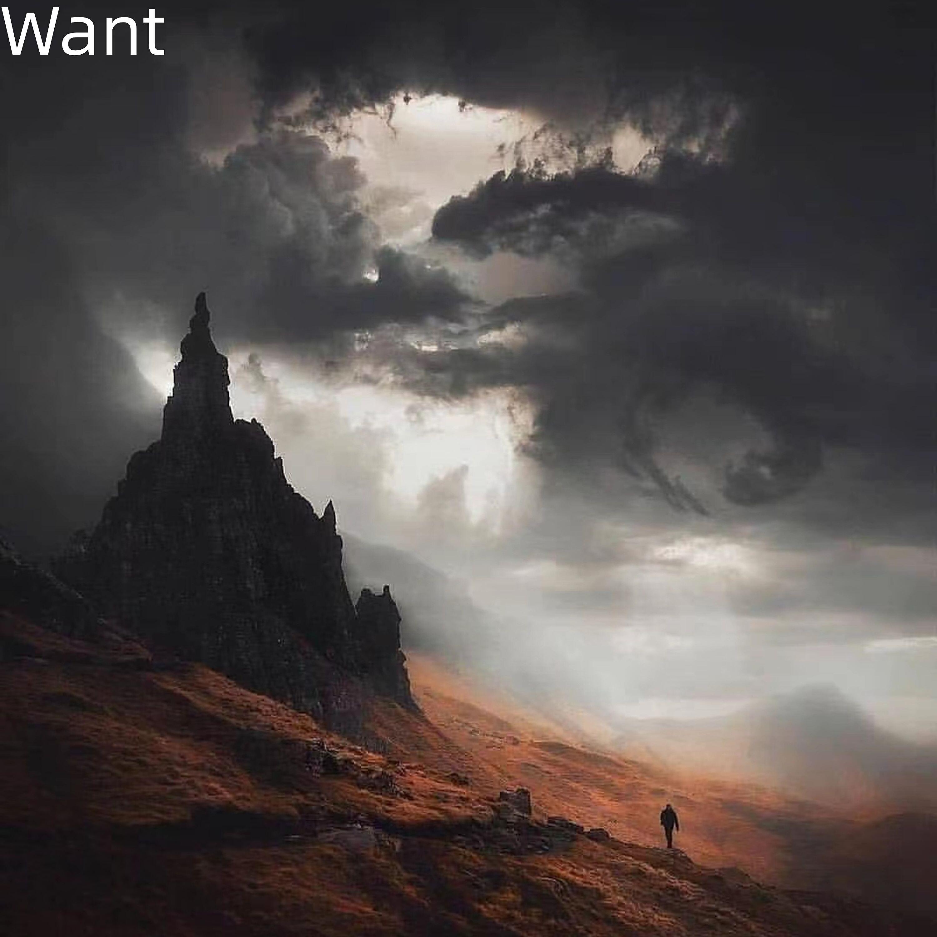 Релиз Want