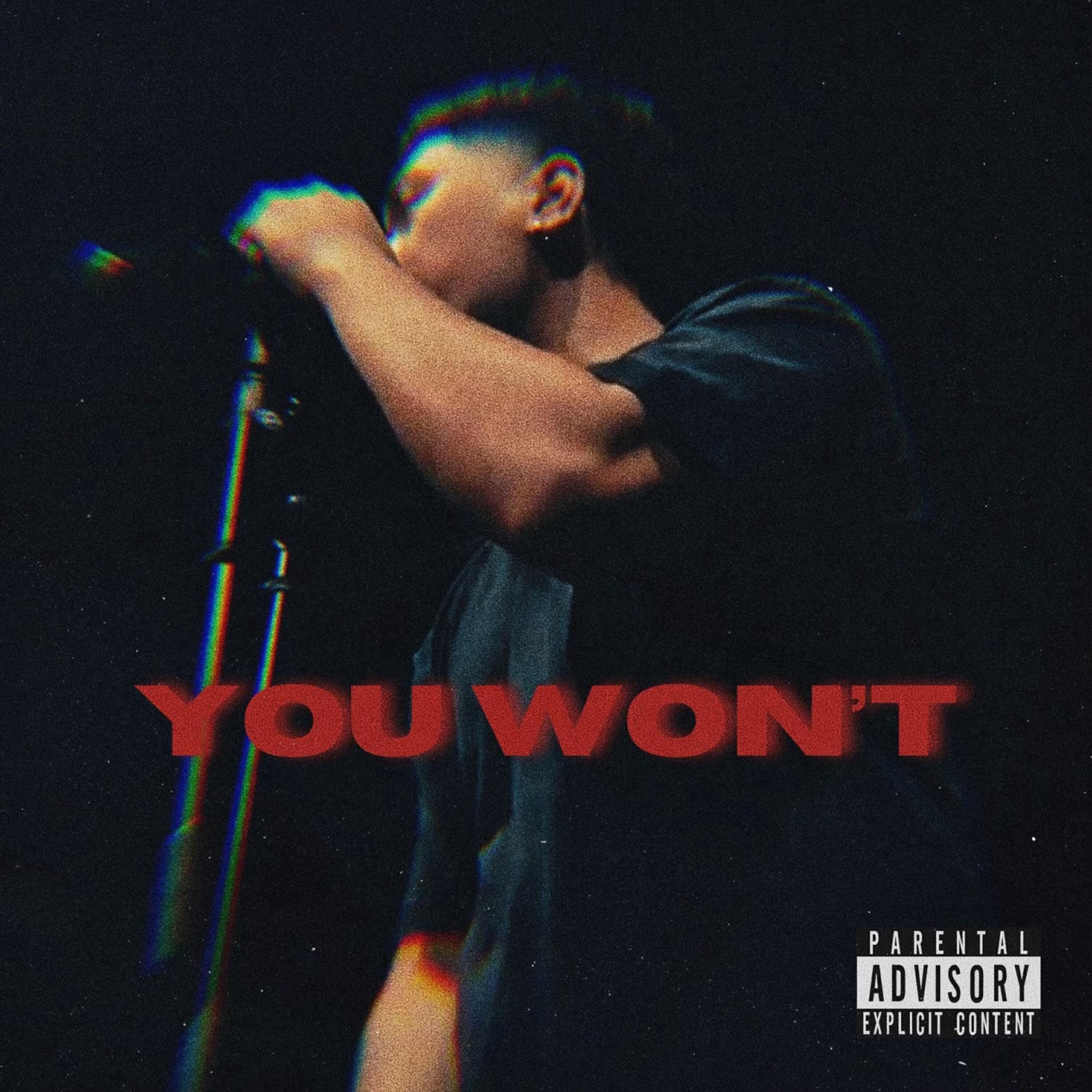 Релиз You Won't