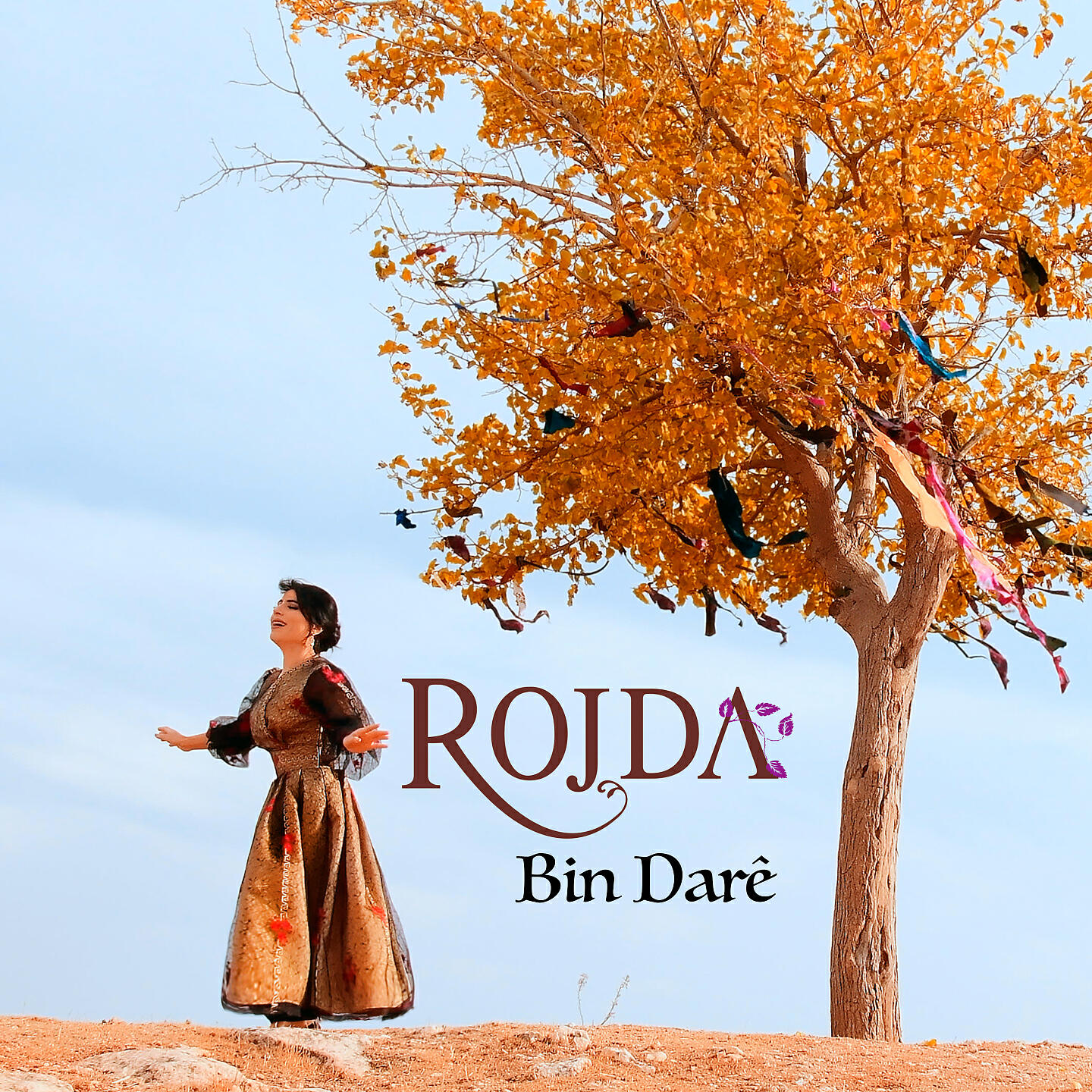 Релиз Bin Darê
