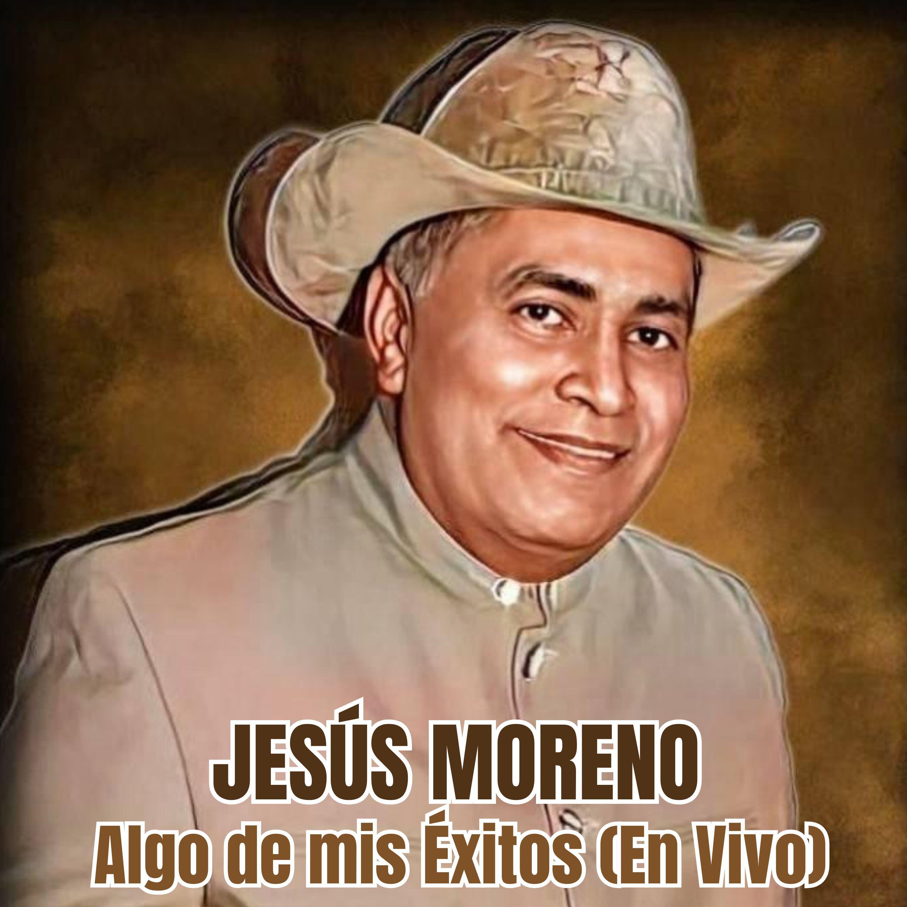 Релиз Algo de Mis Éxitos