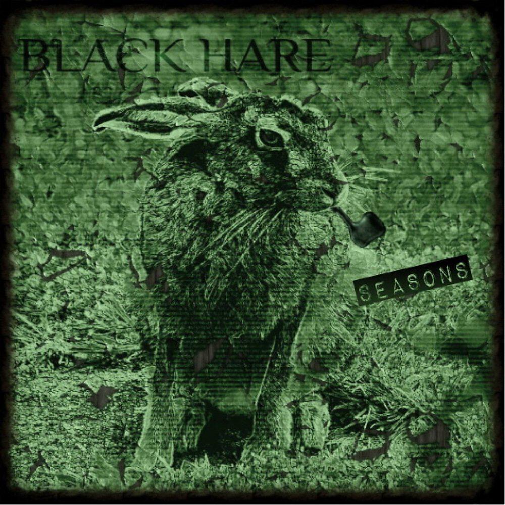 Black Hare