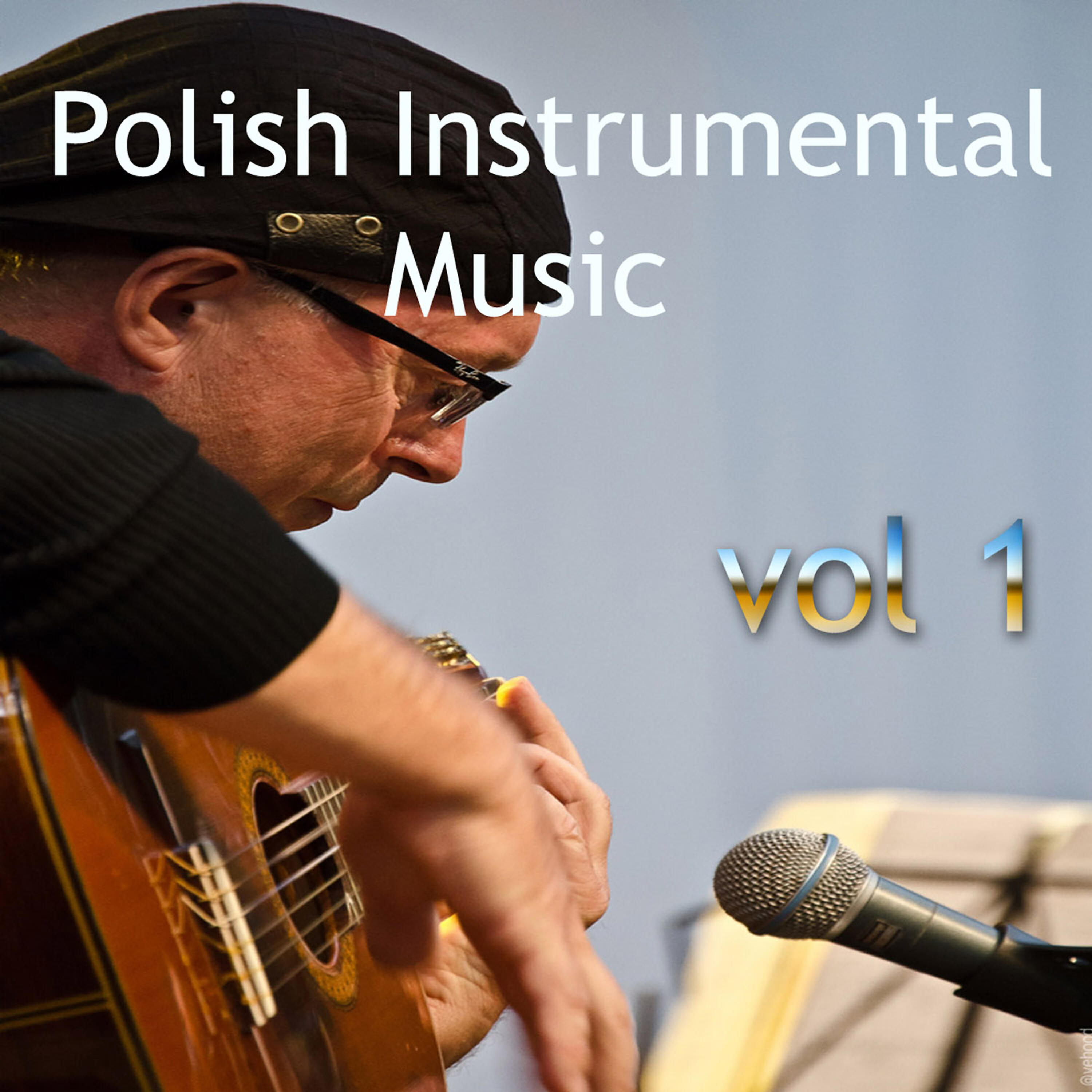 Постер альбома Polish Instrumental Music vol. 1