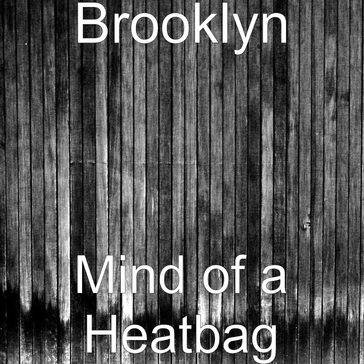 Релиз Mind of a Heatbag