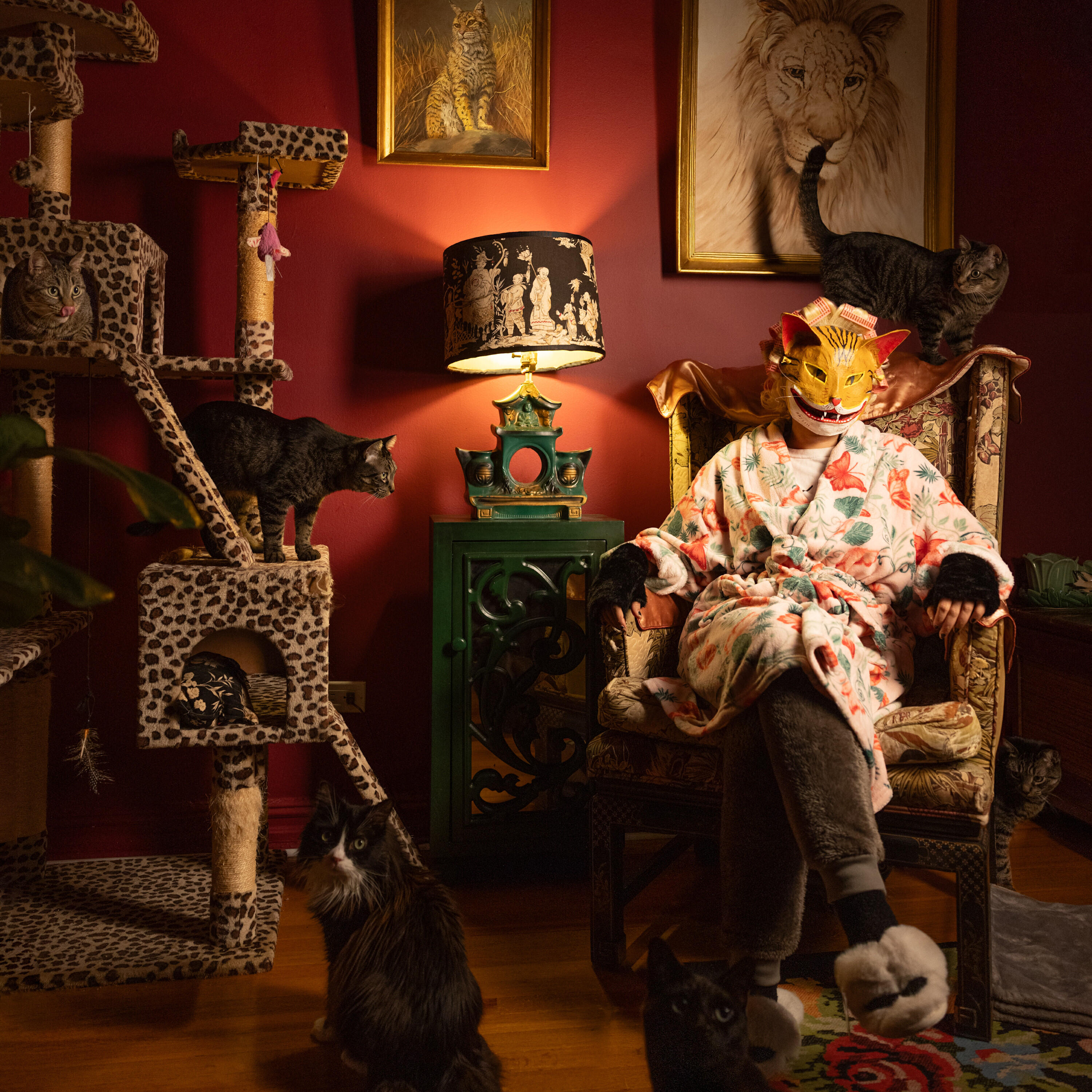 Релиз Portrait Of A Cat Lady