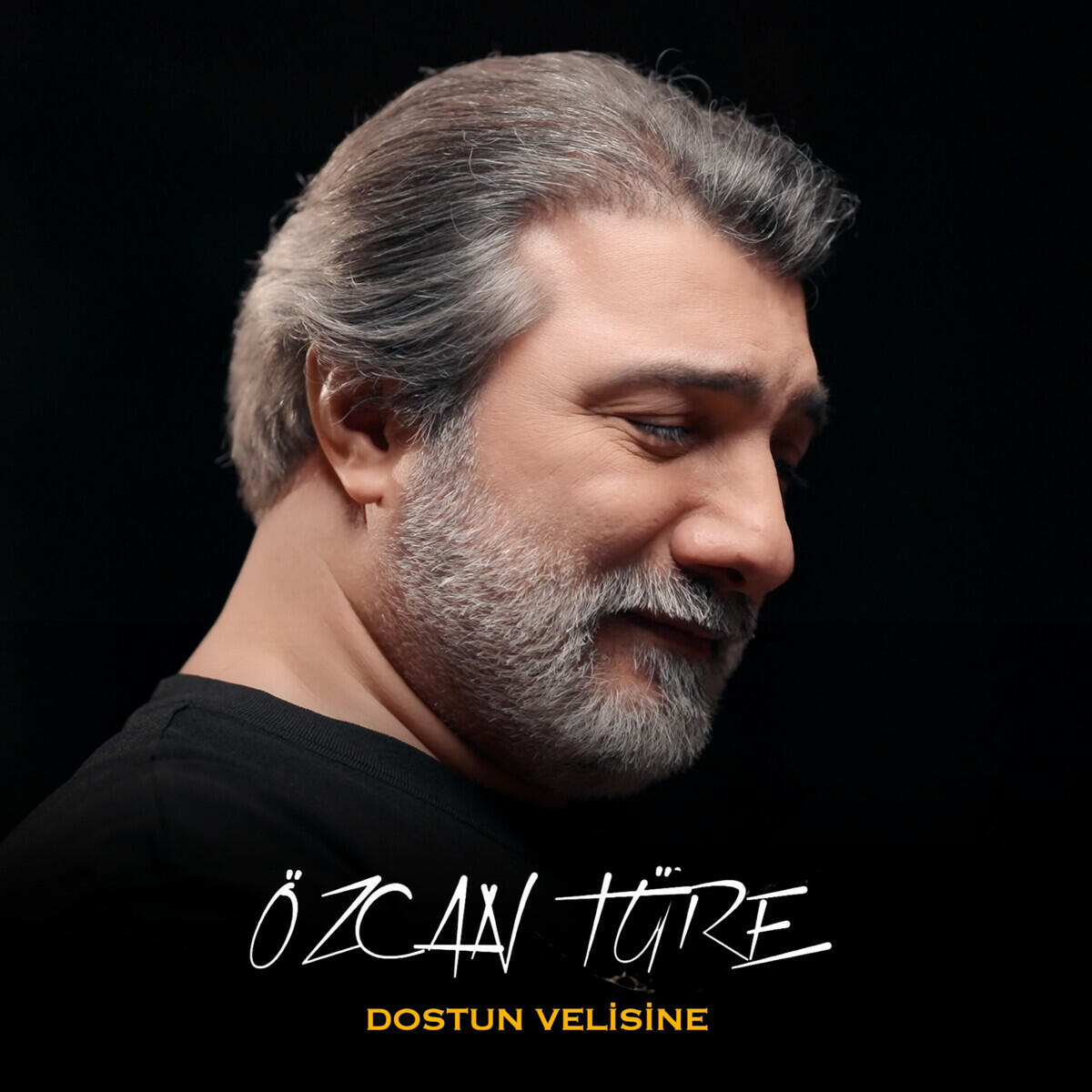 Релиз Dostun Velisine