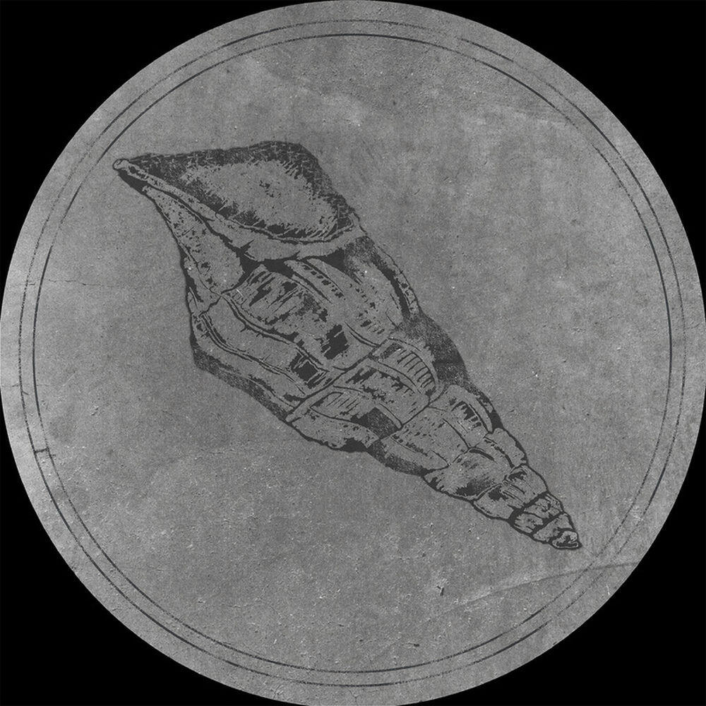 Релиз Calyptraphorus Velatus