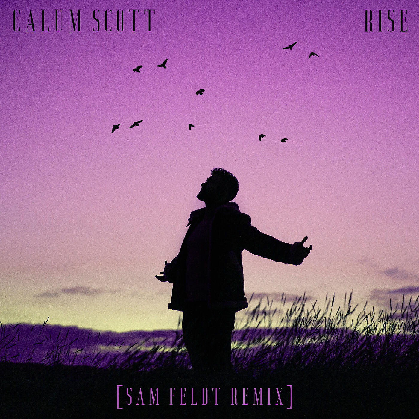 Релиз Rise