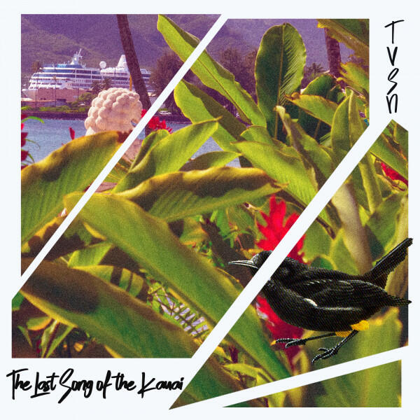Релиз The Last Song of the Kauai