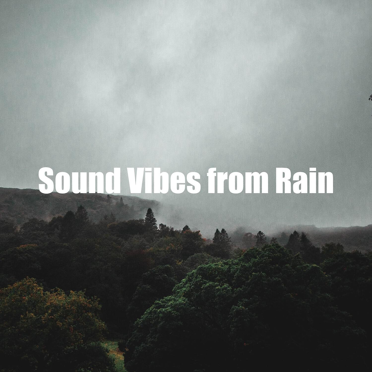 Релиз Sound Vibes from Rain