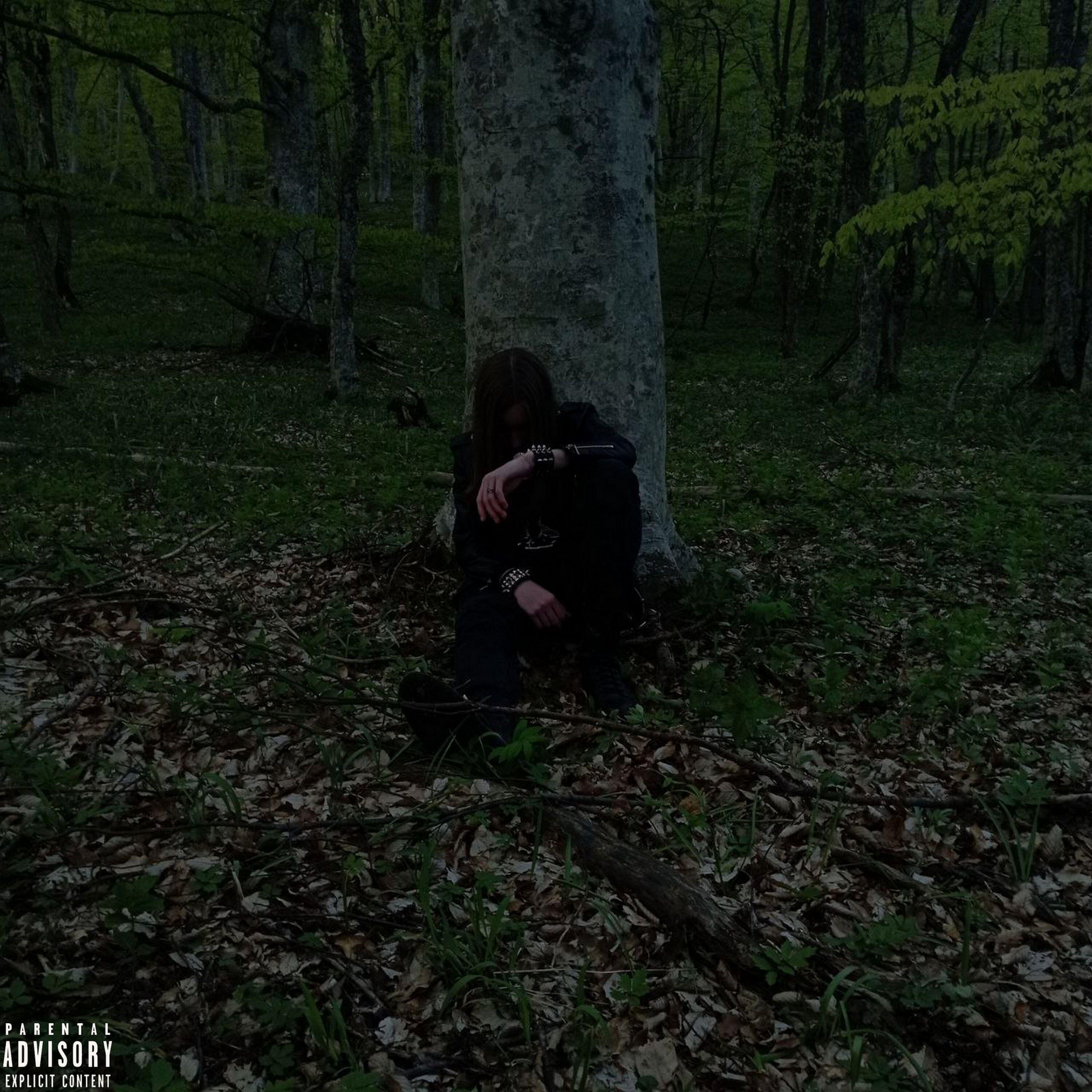 Релиз Death forest