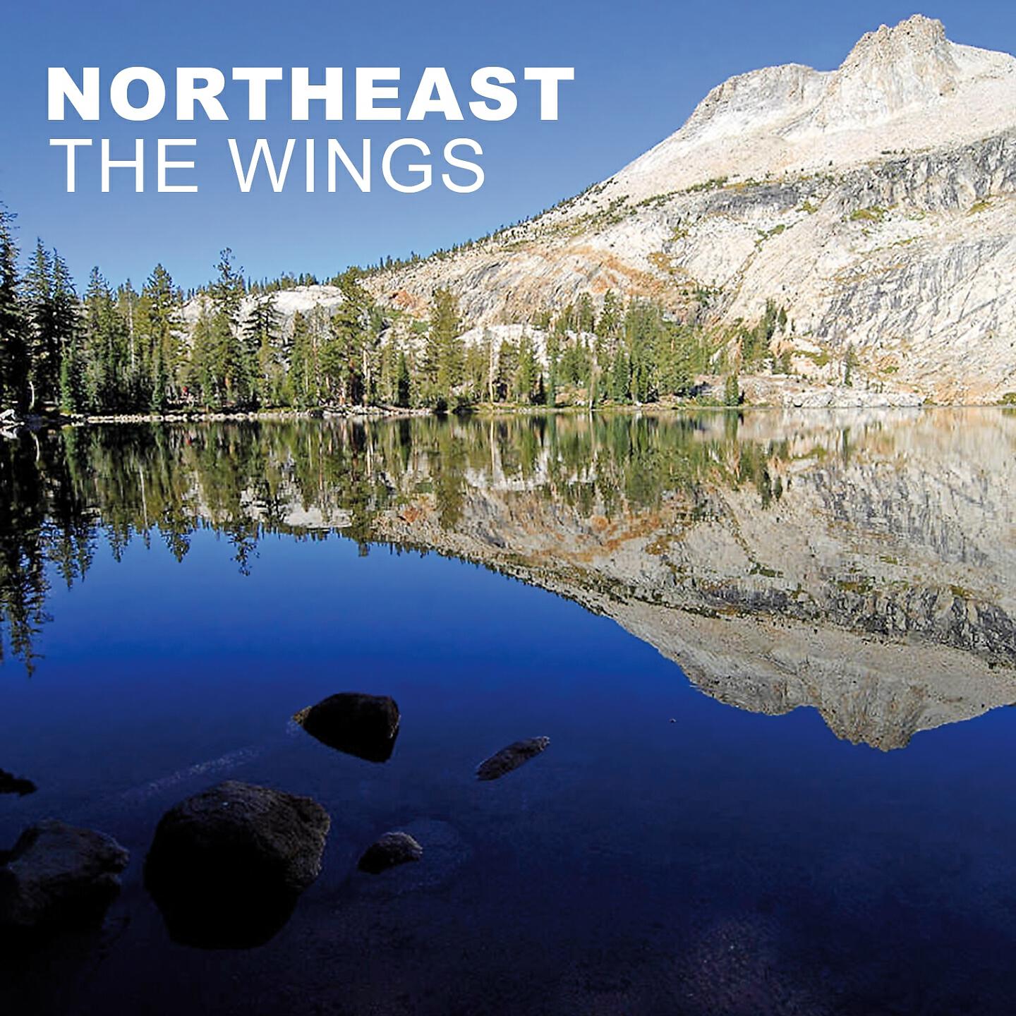 Релиз The Wings