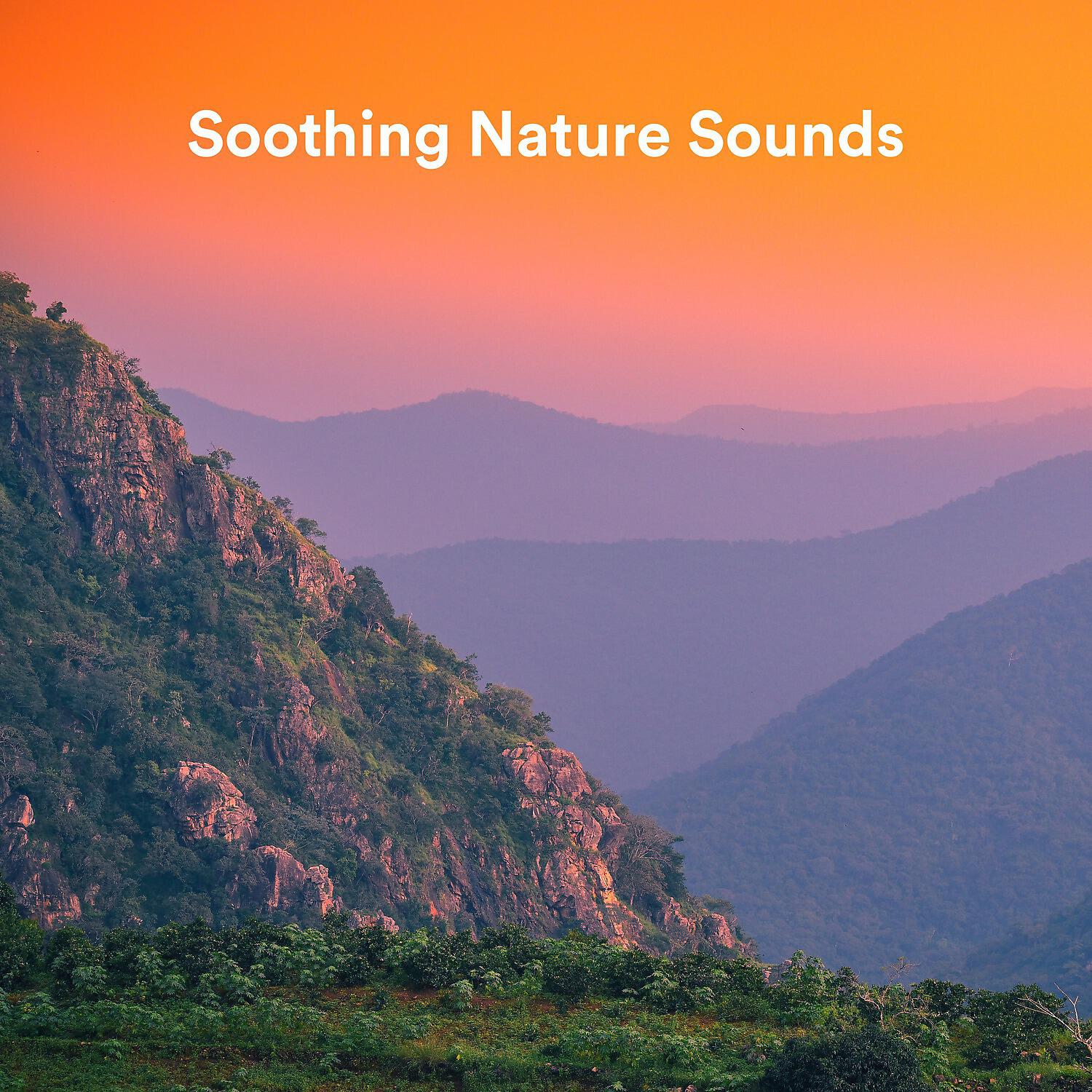 Релиз Soothing Nature Sounds
