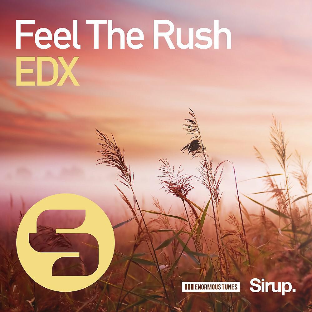 Релиз Feel the Rush