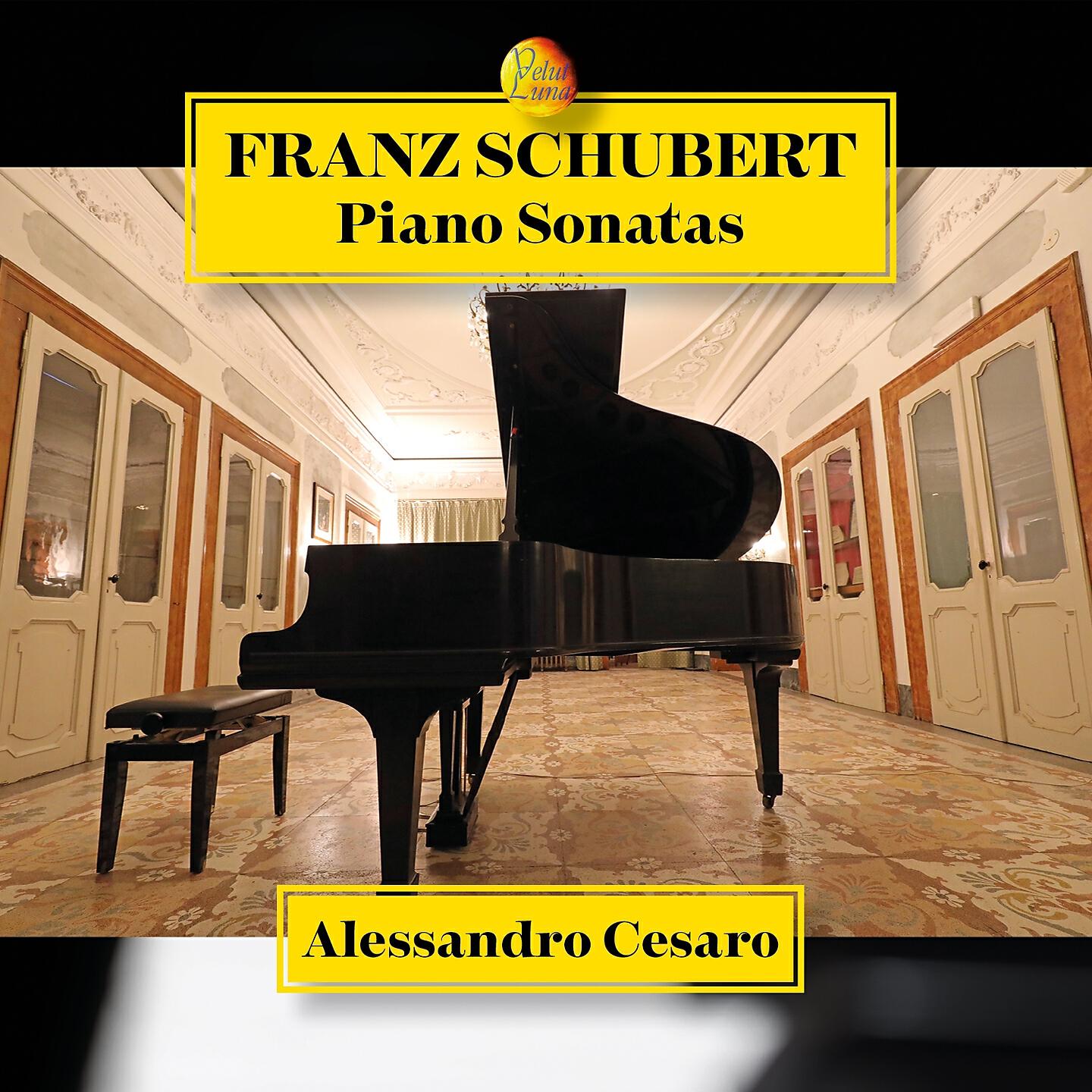 Релиз Franz Schubert Piano Sonatas