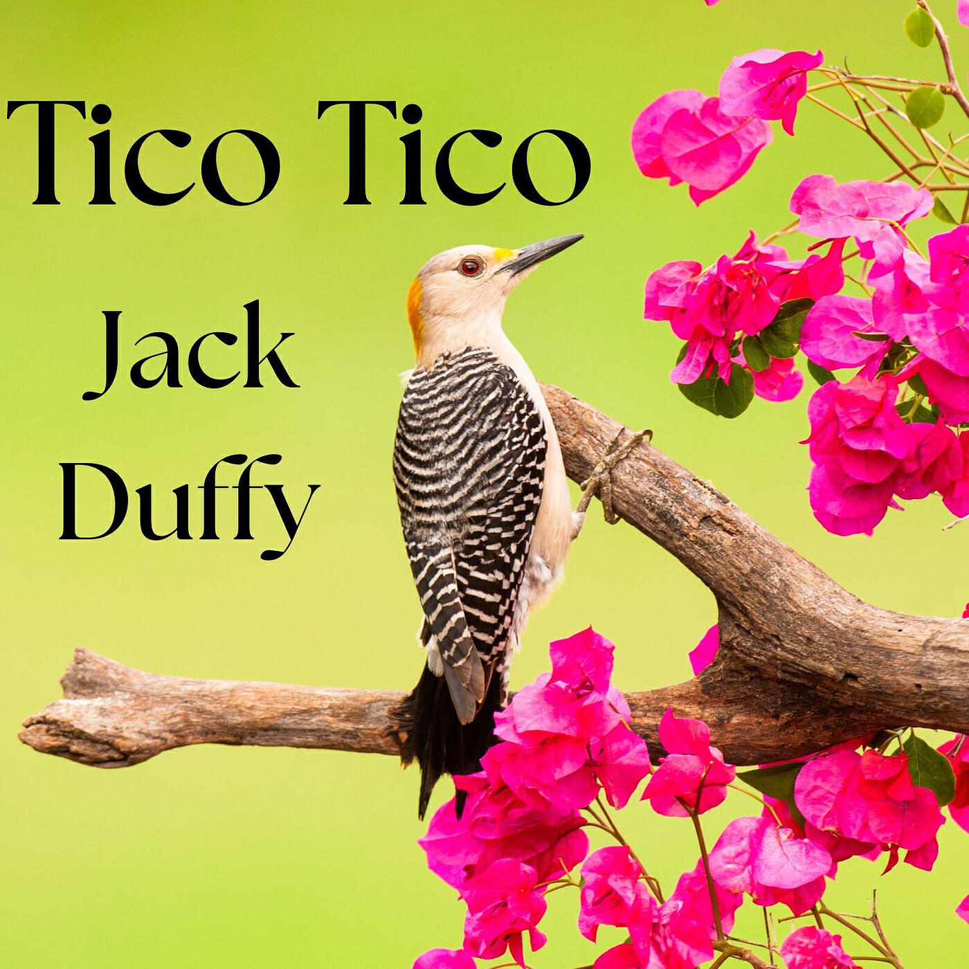 Релиз Tico Tico