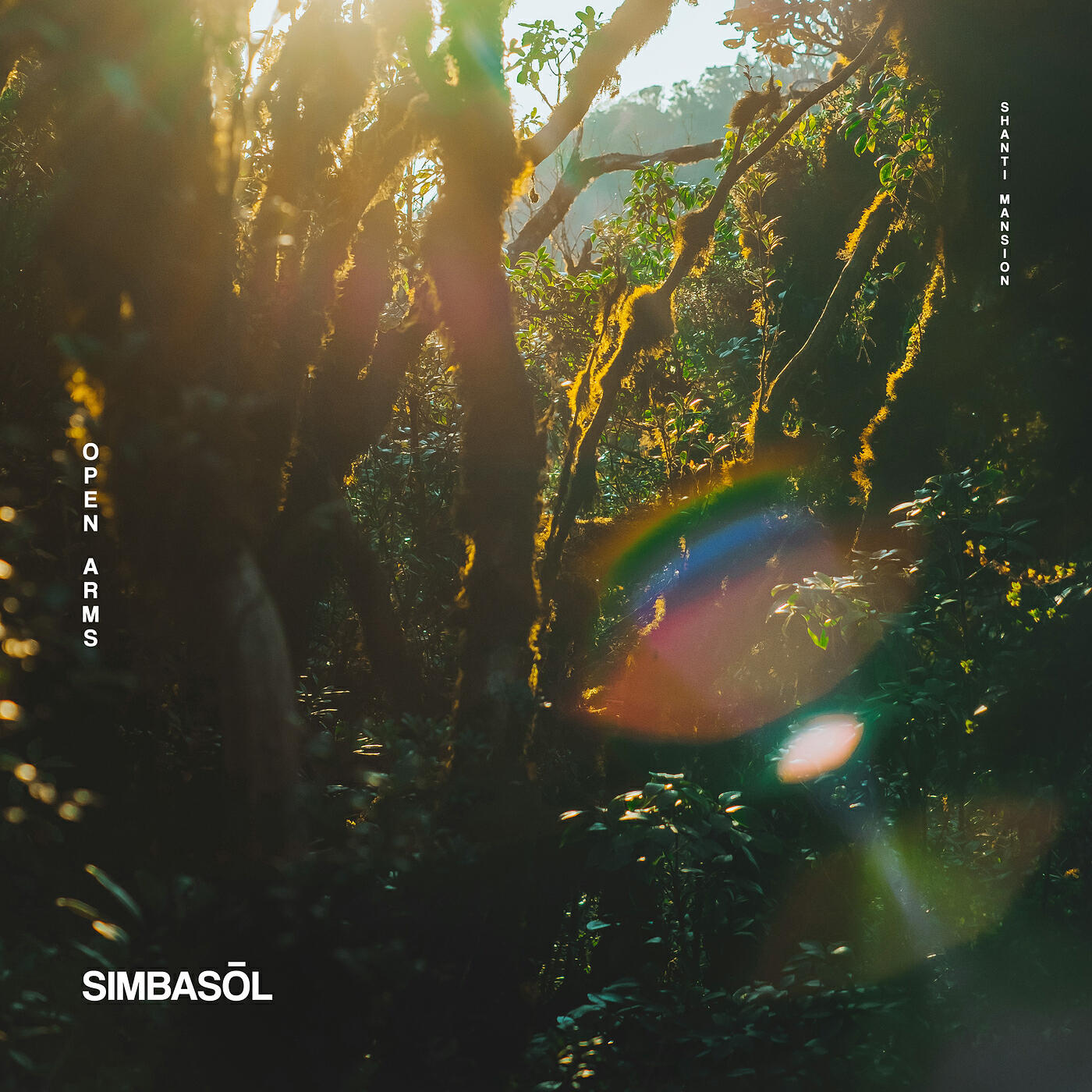 Релиз Open Arms (Rise Mix)